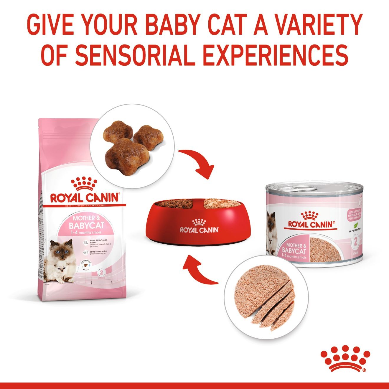 24 x 5.1oz Royal Canin Mother & Babycat Ultra Soft Mousse in Sauce Canned Wet Cat Food UAE | 1293-WNTRU