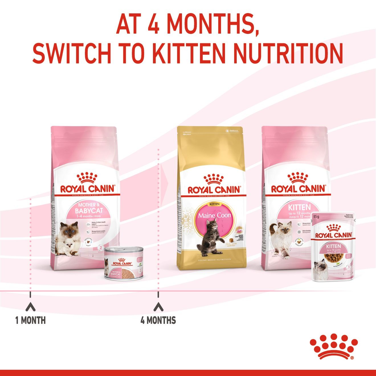 24 x 5.1oz Royal Canin Mother & Babycat Ultra Soft Mousse in Sauce Canned Wet Cat Food UAE | 1293-WNTRU