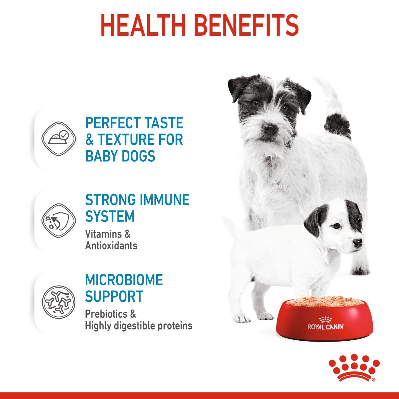 24 x 5.1oz Royal Canin Starter Mother & Babydog Ultra Soft Mousse In Sauce Wet Dog Food UAE | 8436-DRFYI