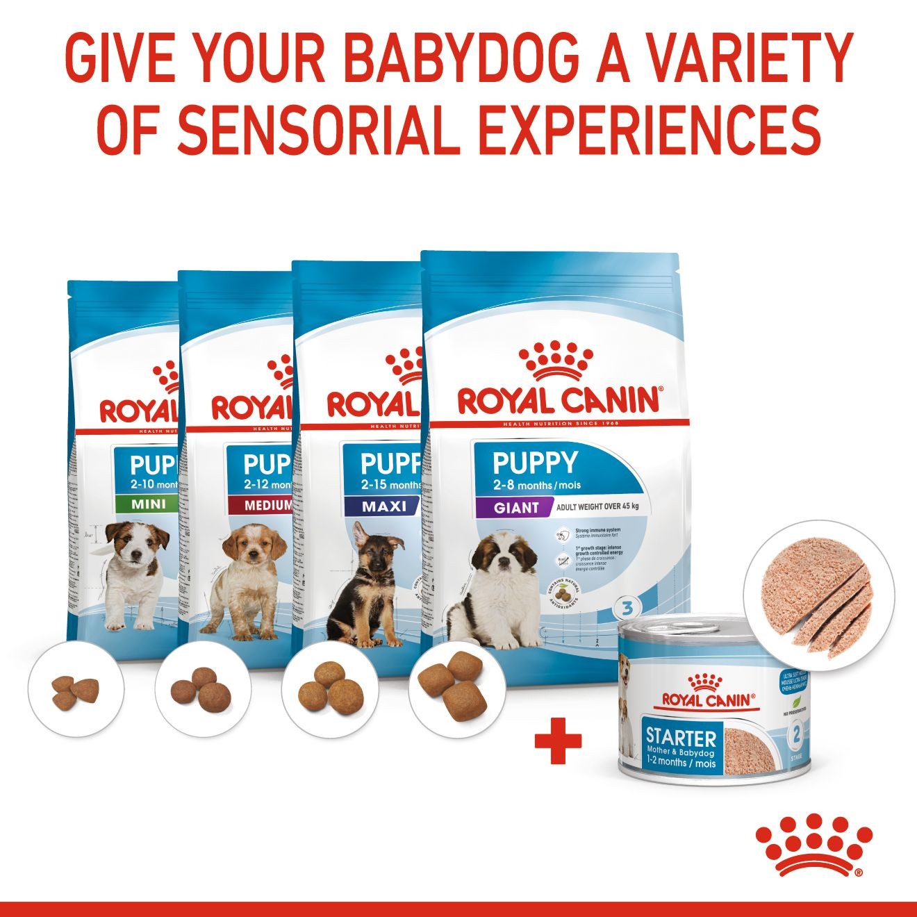 24 x 5.1oz Royal Canin Starter Mother & Babydog Ultra Soft Mousse In Sauce Wet Dog Food UAE | 8436-DRFYI