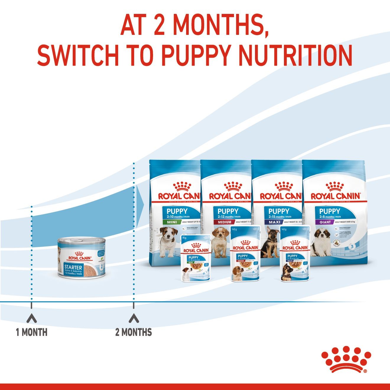 24 x 5.1oz Royal Canin Starter Mother & Babydog Ultra Soft Mousse In Sauce Wet Dog Food UAE | 8436-DRFYI