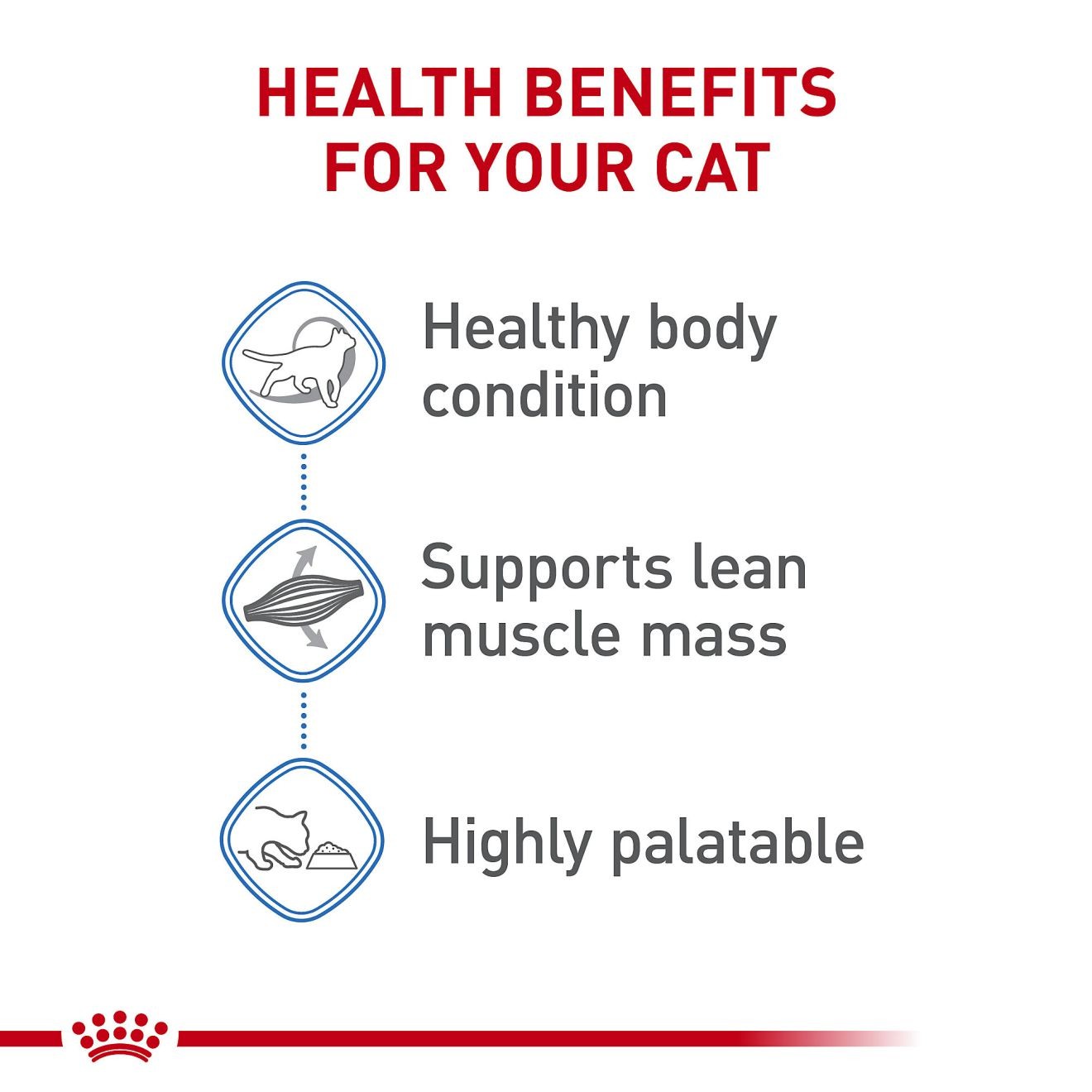 24 x 5.1oz Royal Canin Weight Care Loaf in Sauce Wet Cat Food UAE | 9357-OBNTJ