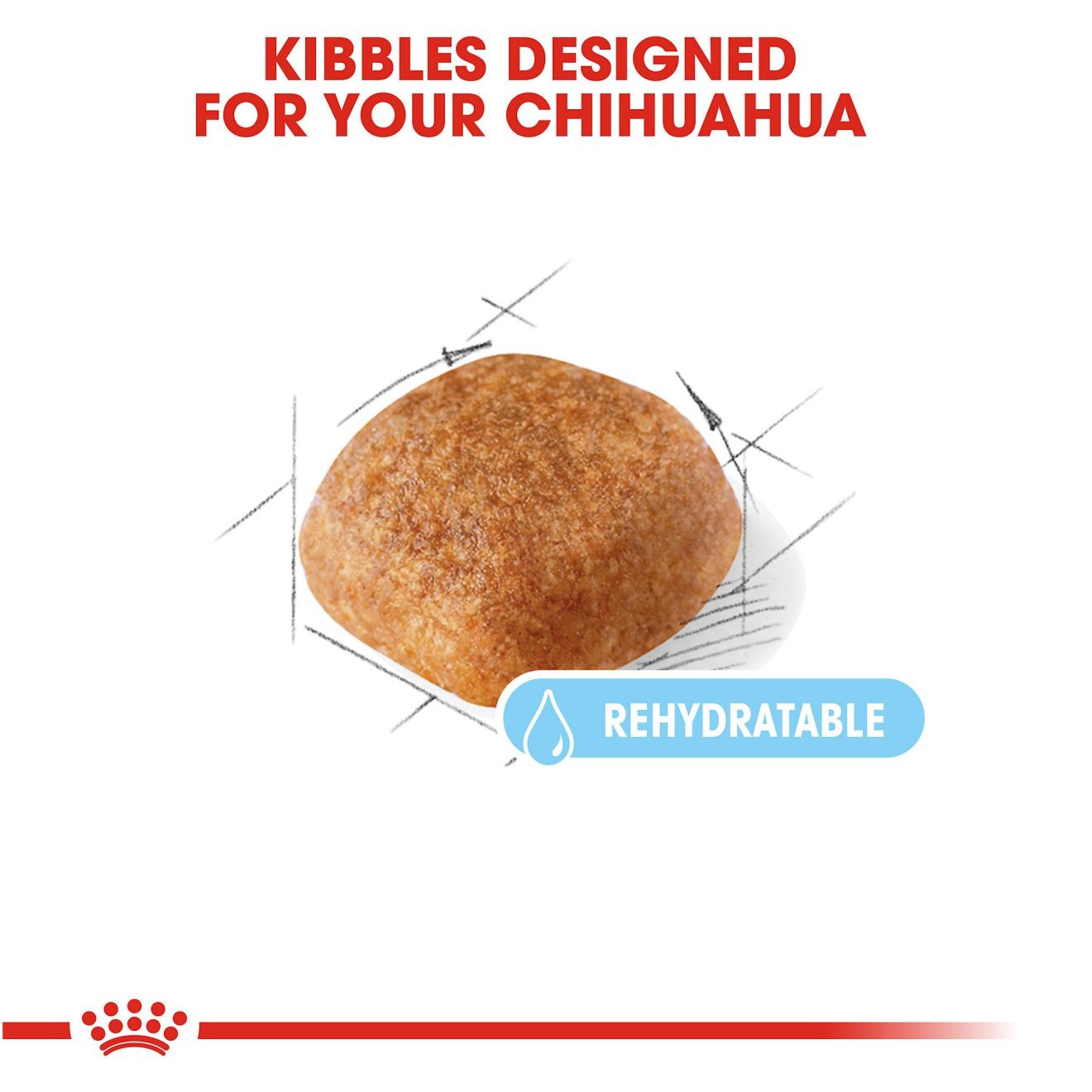 2.5lb Royal Canin Chihuahua Adult 8+ Dry Dog Food UAE | 5210-SNEPZ