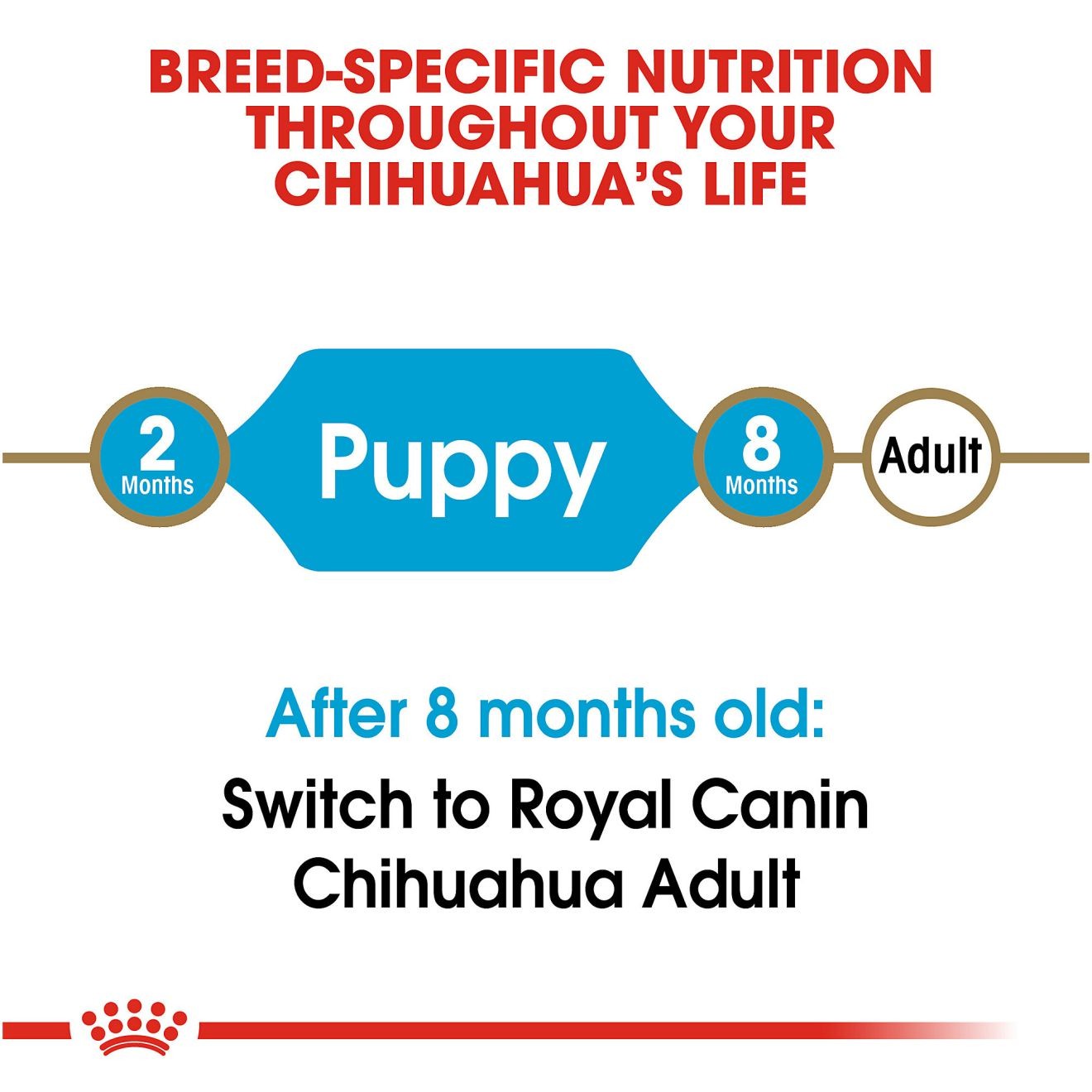 2.5lb Royal Canin Chihuahua Puppy Dry Dog Food UAE | 4865-APSWM