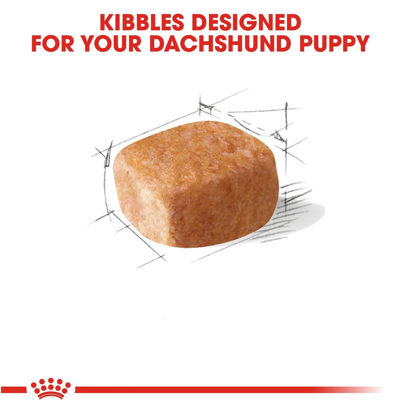 2.5lb Royal Canin Dachshund Puppy Dry Dog Food UAE | 1359-BEHCR
