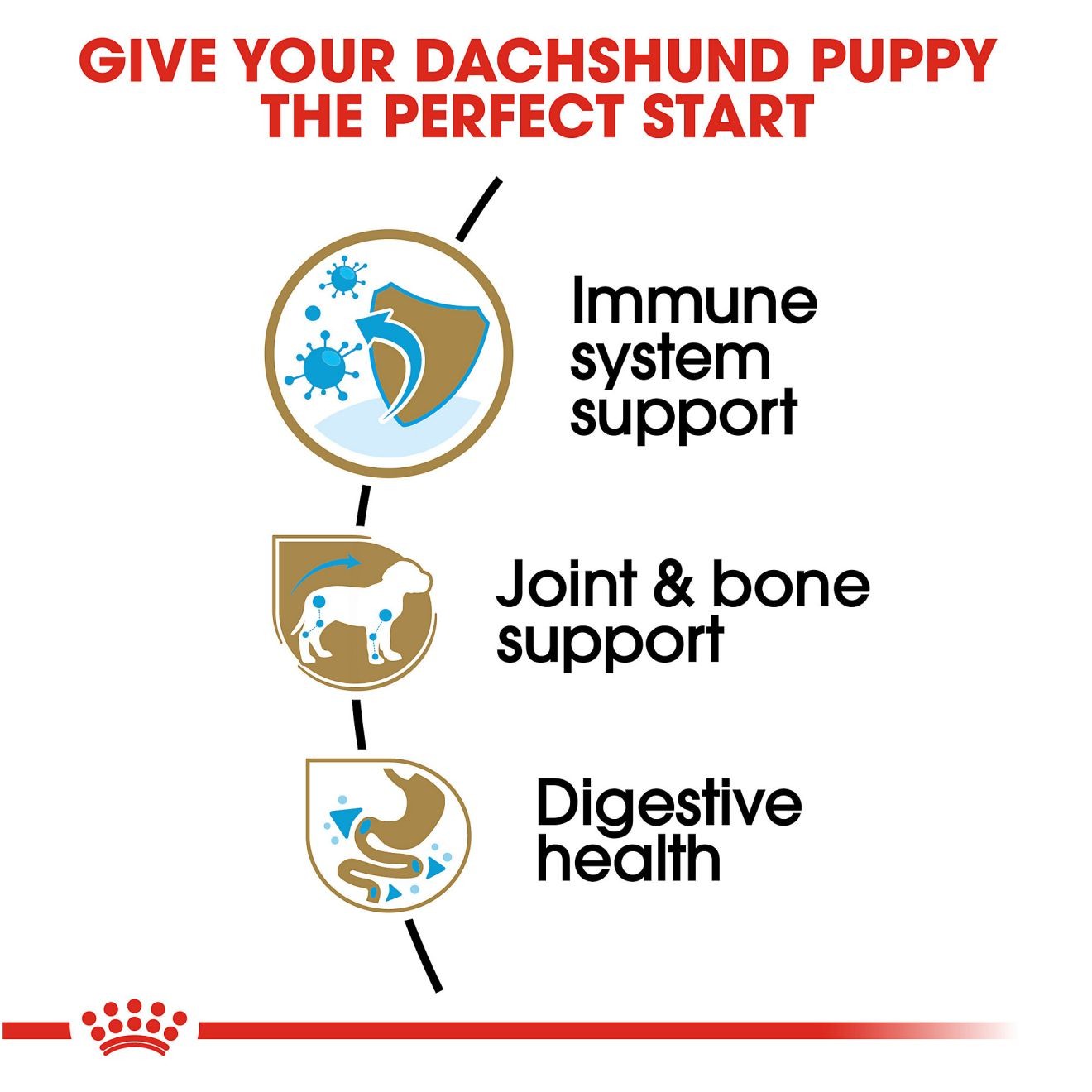 2.5lb Royal Canin Dachshund Puppy Dry Dog Food UAE | 1359-BEHCR