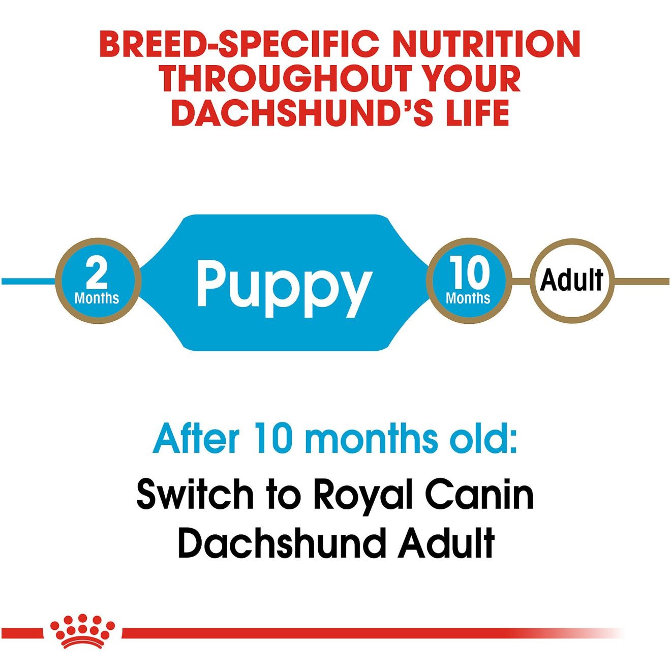 2.5lb Royal Canin Dachshund Puppy Dry Dog Food UAE | 1359-BEHCR