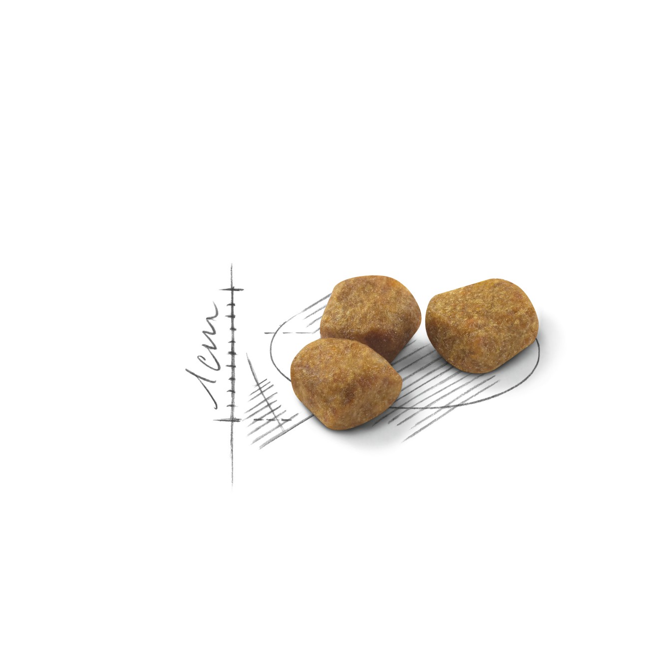 2.5lb Royal Canin Indoor 7+ Dry Cat Food UAE | 4625-RQCTP
