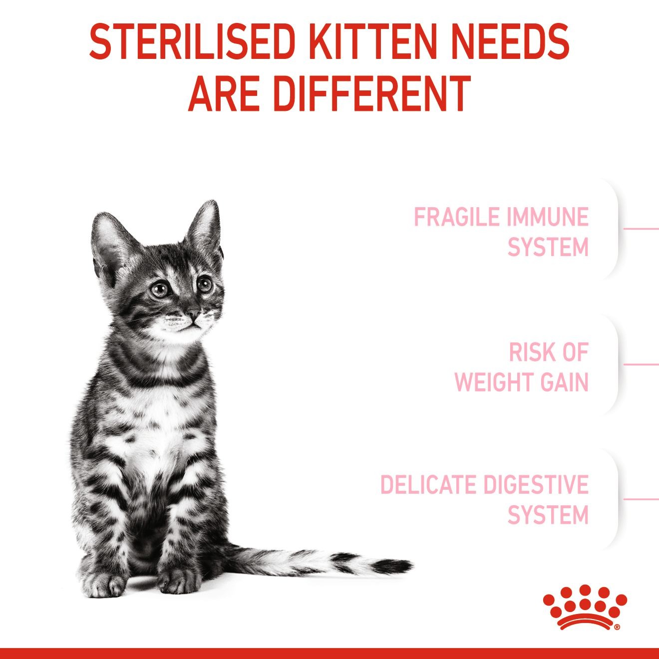 2.5lb Royal Canin Kitten Spayed/Neutered Dry Cat Food UAE | 6897-DLIXN