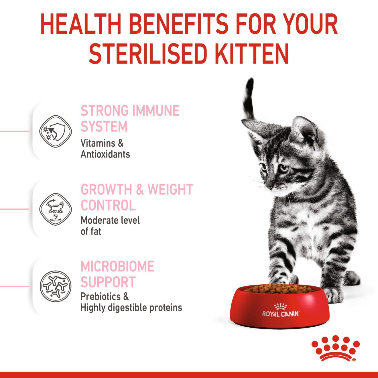2.5lb Royal Canin Kitten Spayed/Neutered Dry Cat Food UAE | 6897-DLIXN
