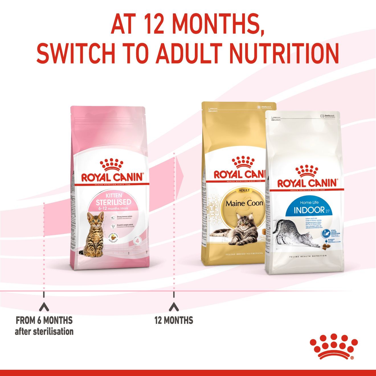 2.5lb Royal Canin Kitten Spayed/Neutered Dry Cat Food UAE | 6897-DLIXN