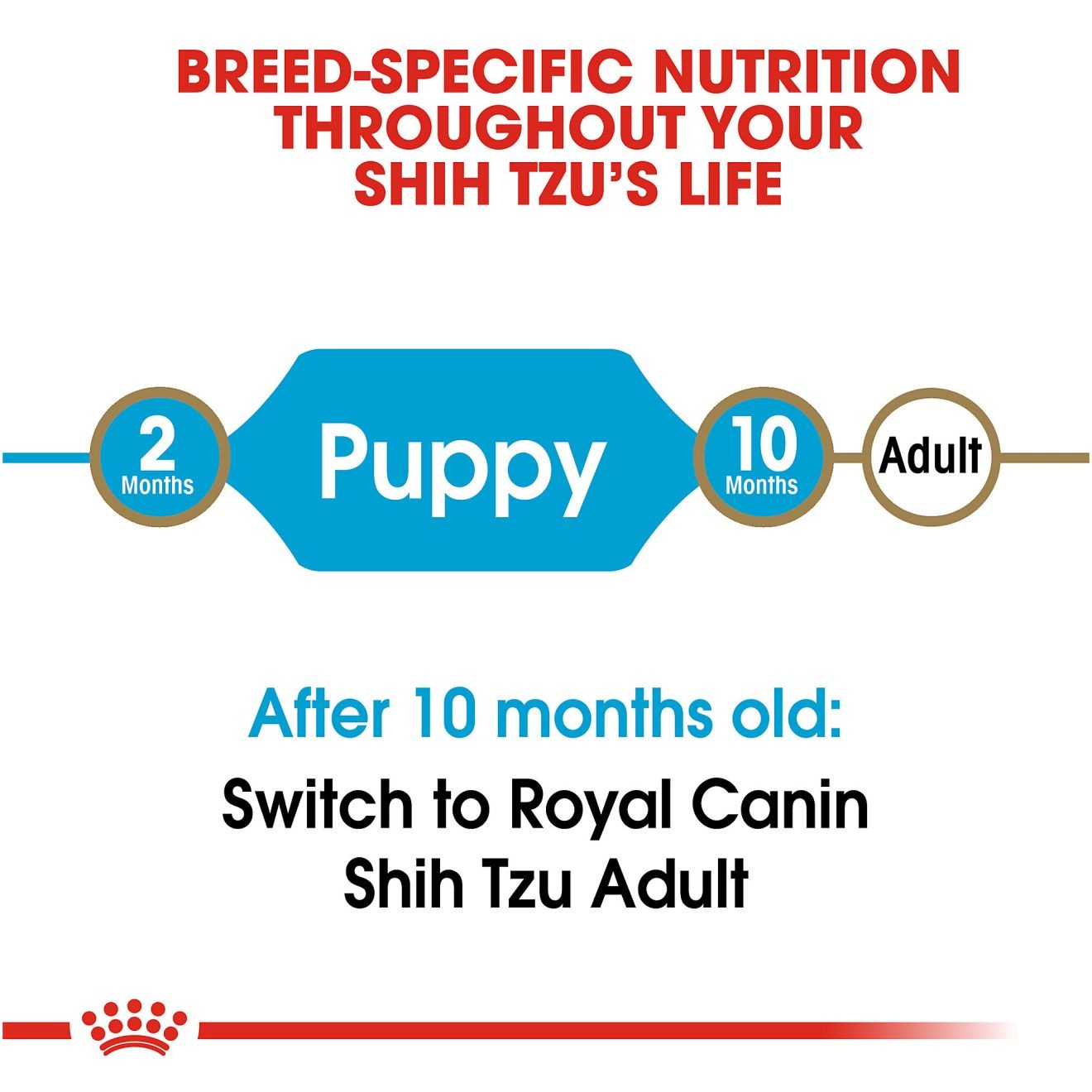 2.5lb Royal Canin Shih Tzu Puppy Dry Dog Food UAE | 2738-WQSOD