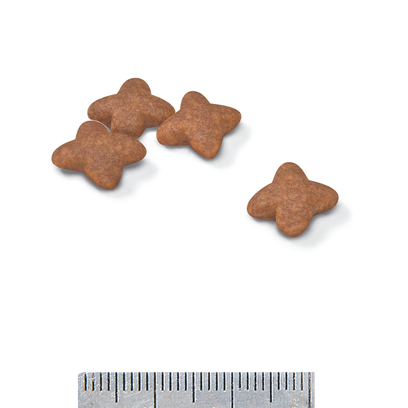 2.5lb Royal Canin Small Adult Dry Dog Food UAE | 4178-CHJBW