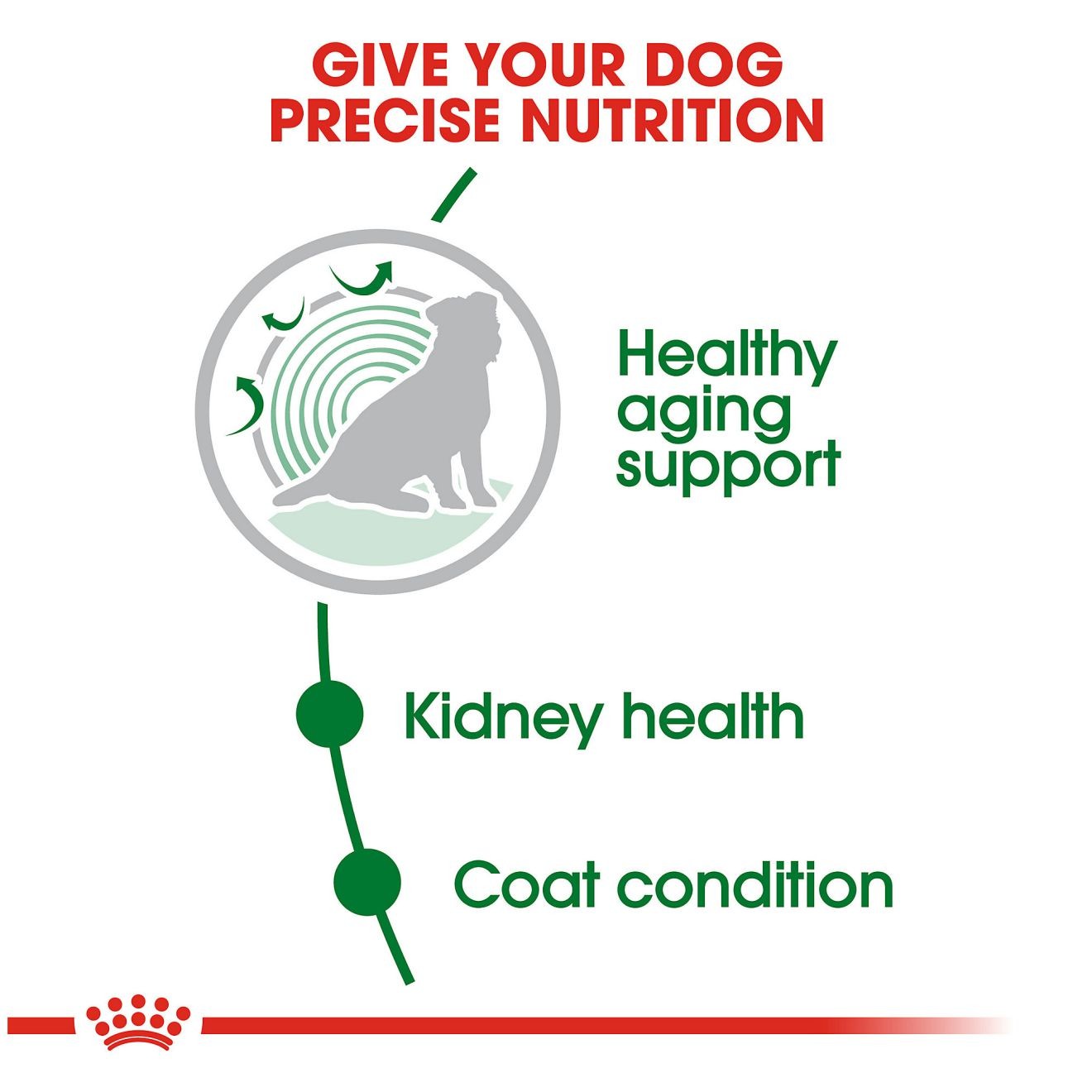 2.5lb Royal Canin Small Aging 12+ Dry Dog Food UAE | 9512-DMBLO