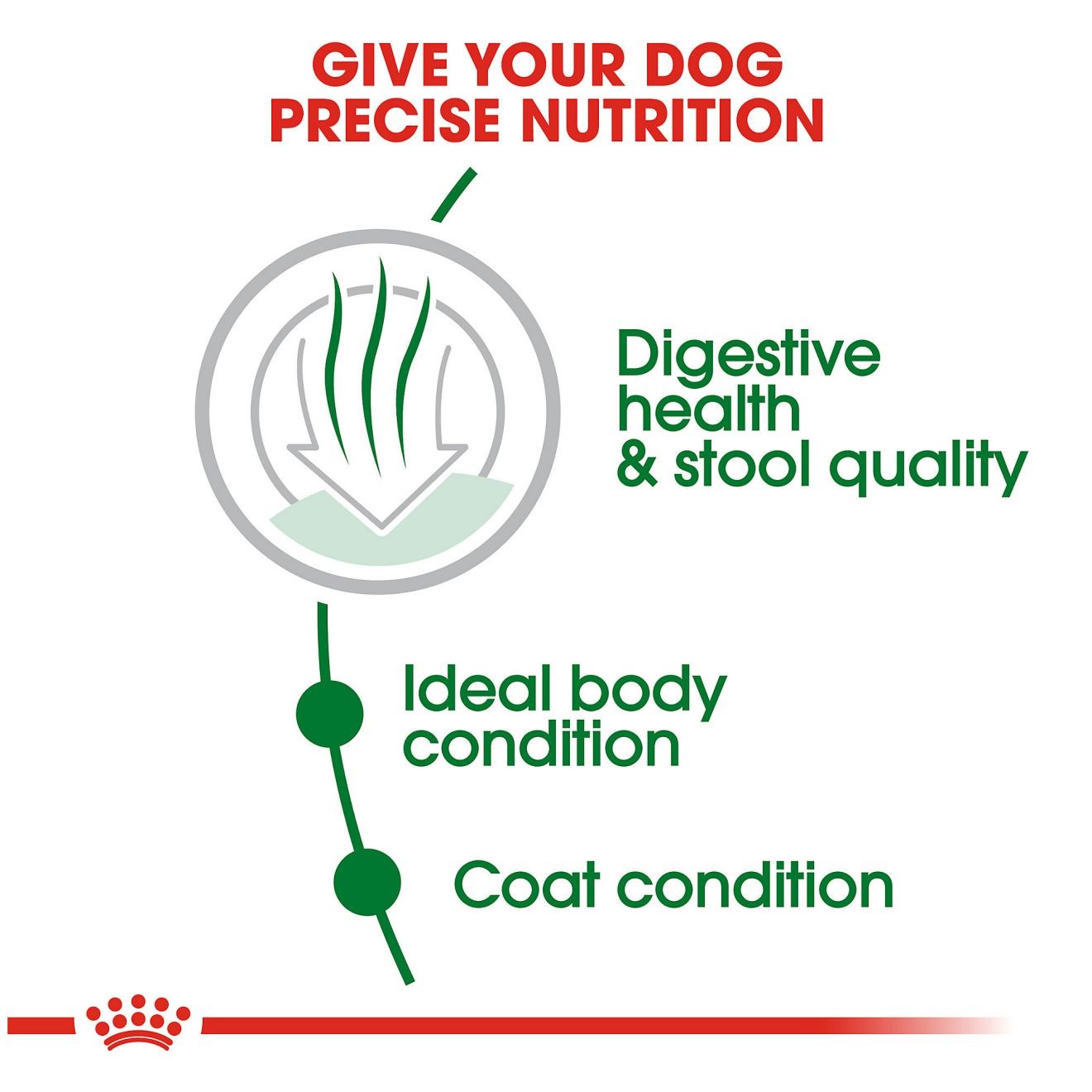 2.5lb Royal Canin Small Indoor Adult Dry Dog Food UAE | 4950-ZFJAW
