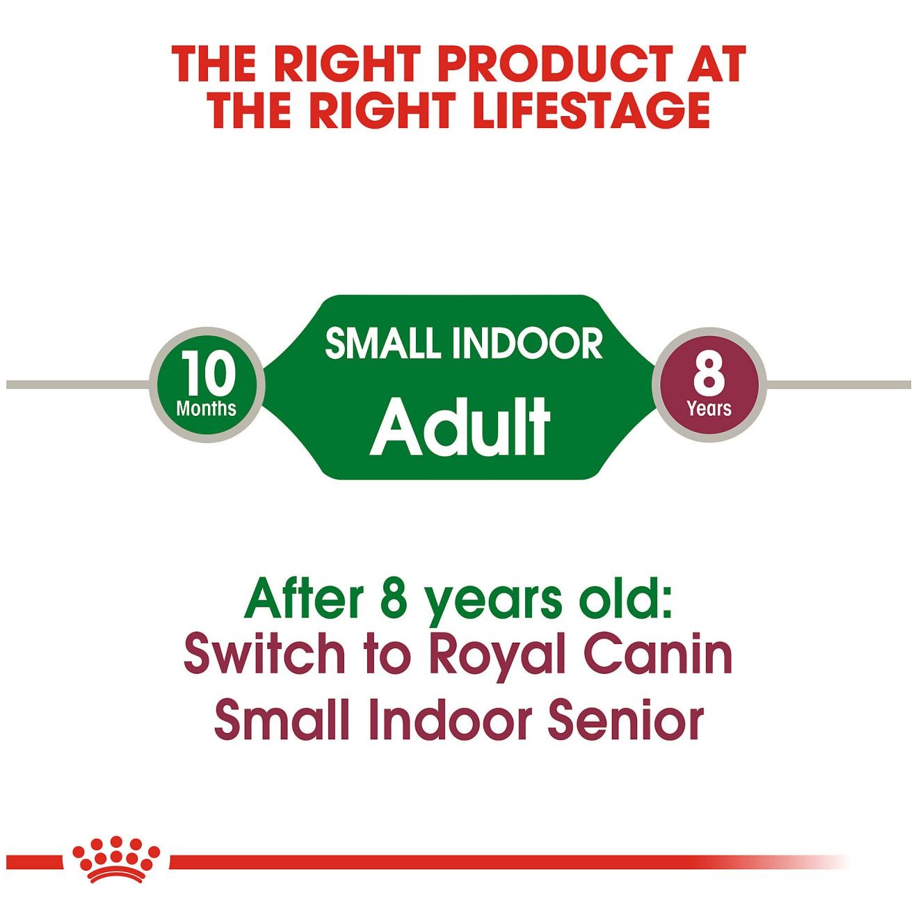 2.5lb Royal Canin Small Indoor Adult Dry Dog Food UAE | 4950-ZFJAW