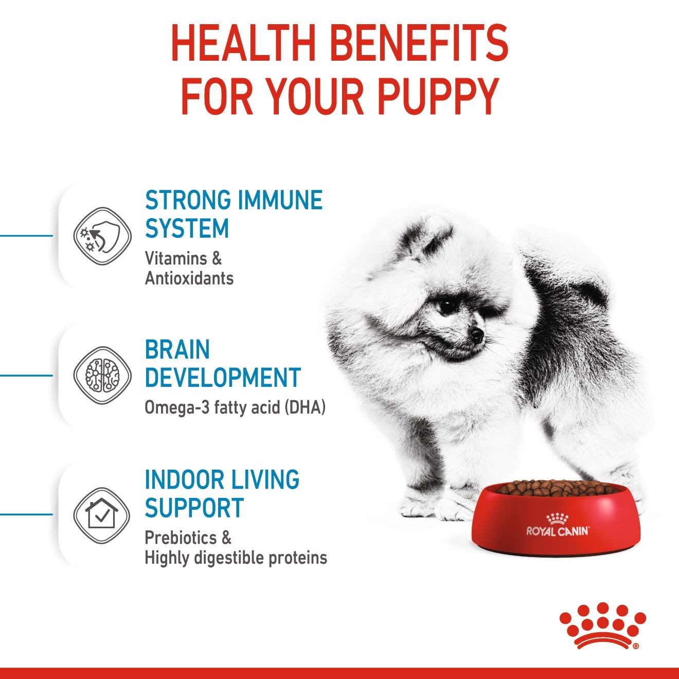 2.5lb Royal Canin Small Indoor Puppy Dry Dog Food UAE | 3612-TRZEF
