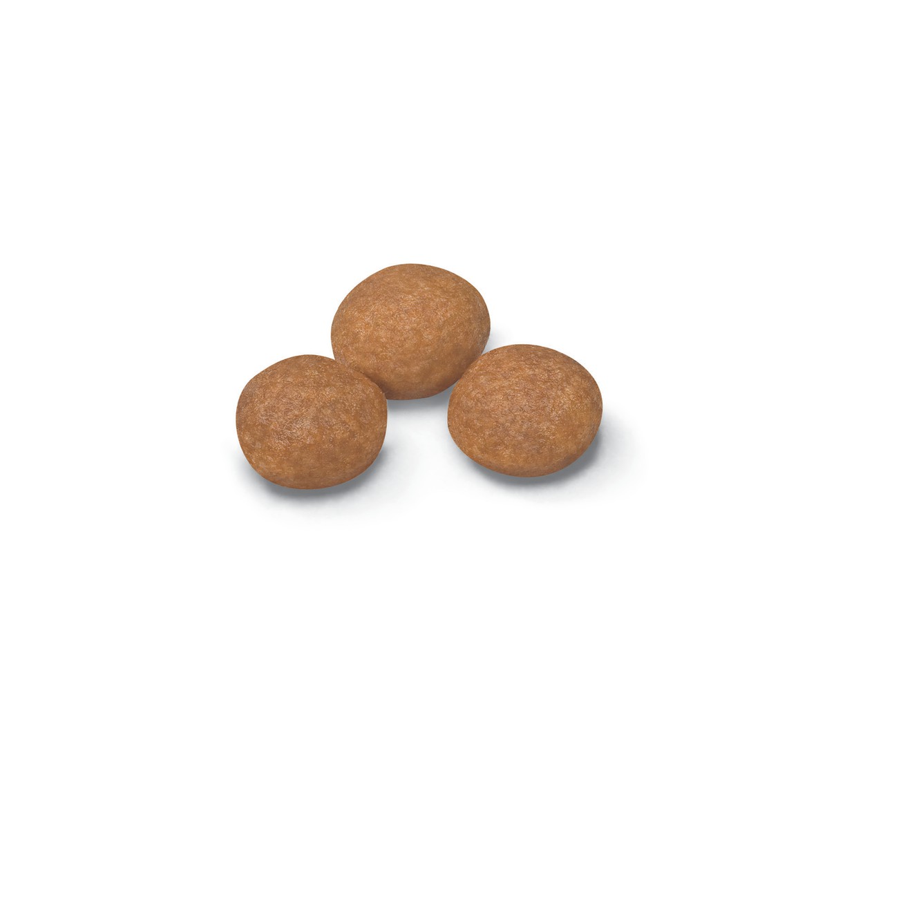2.5lb Royal Canin X-Small Adult 8+ Dry Dog Food UAE | 0982-VDFWS