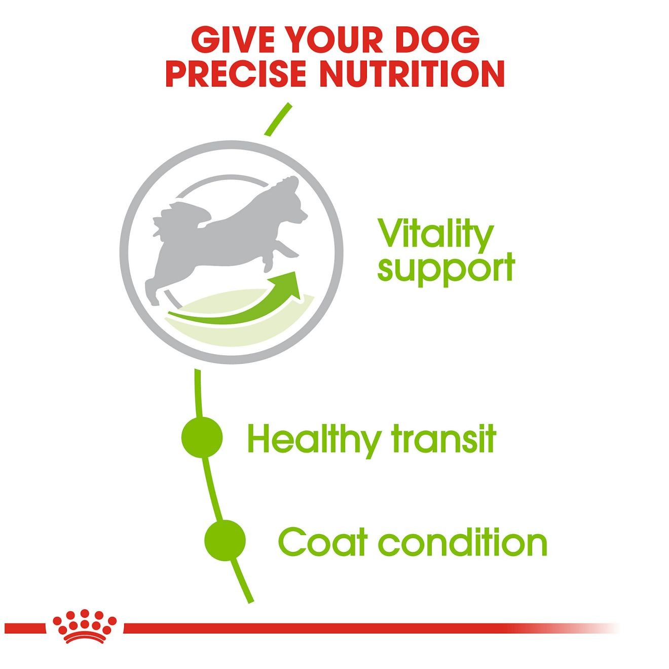 2.5lb Royal Canin X-Small Adult 8+ Dry Dog Food UAE | 0982-VDFWS