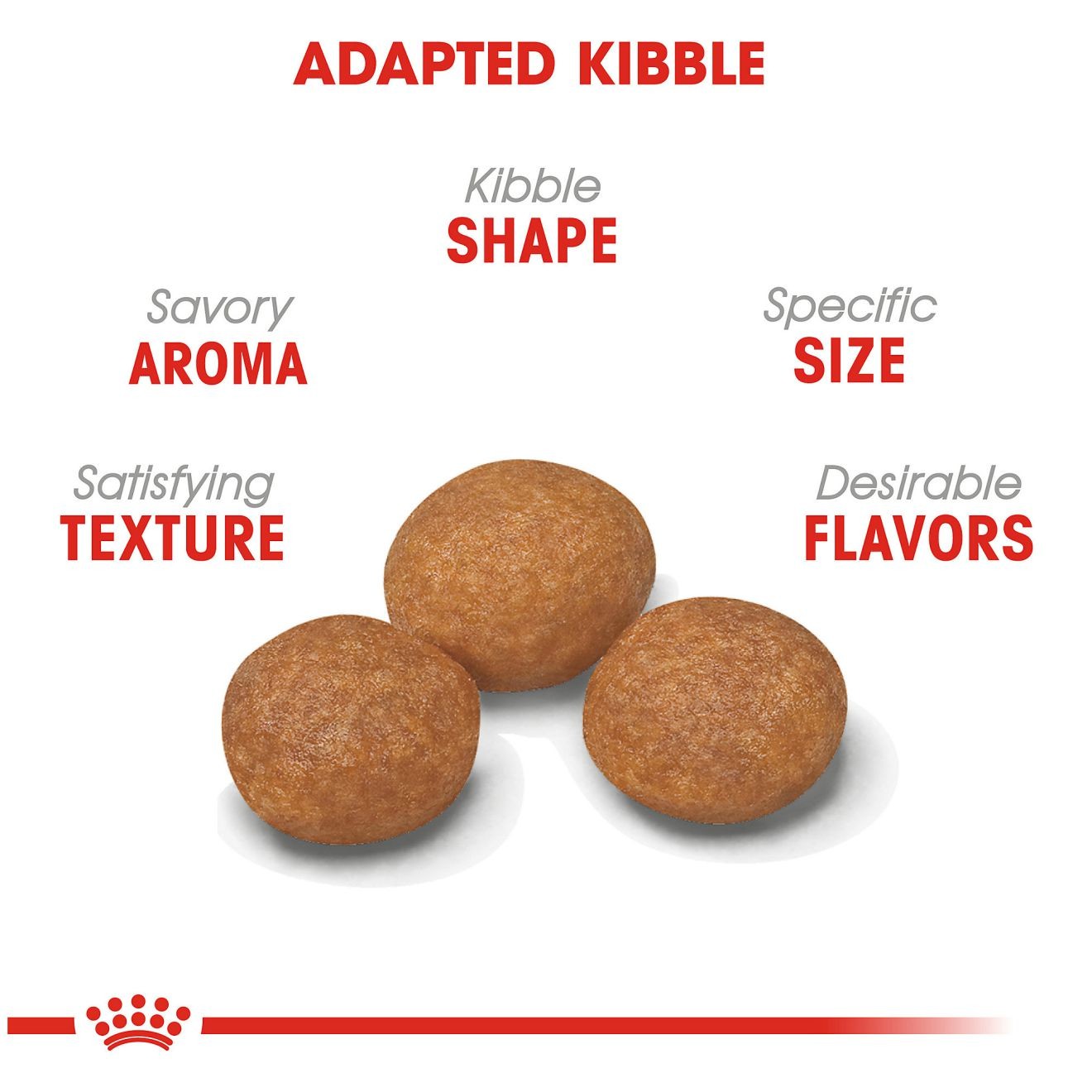 2.5lb Royal Canin X-Small Adult 8+ Dry Dog Food UAE | 0982-VDFWS