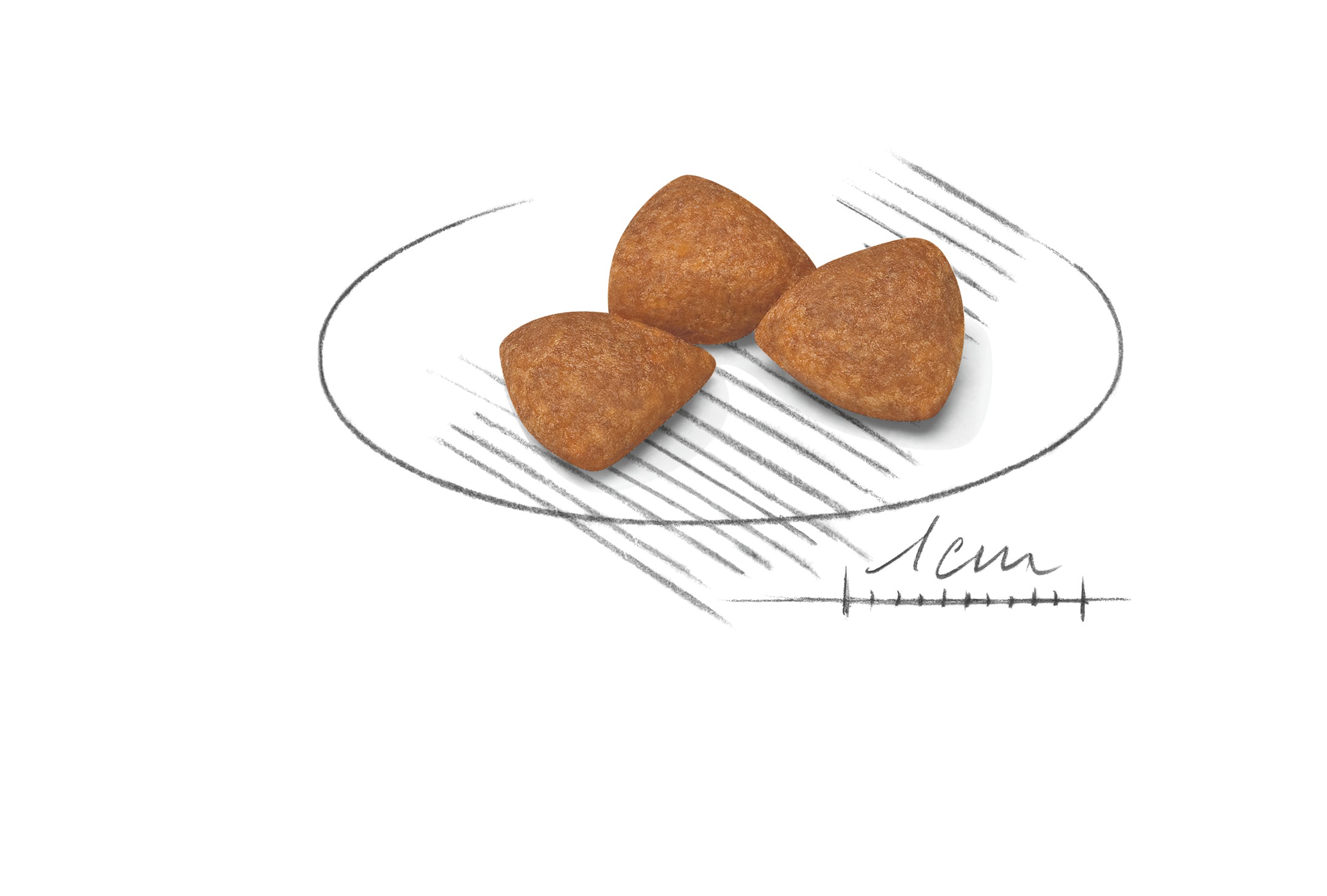2.5lb Royal Canin X-Small Aging 12+ Dry Dog Food UAE | 6329-ZLAPR