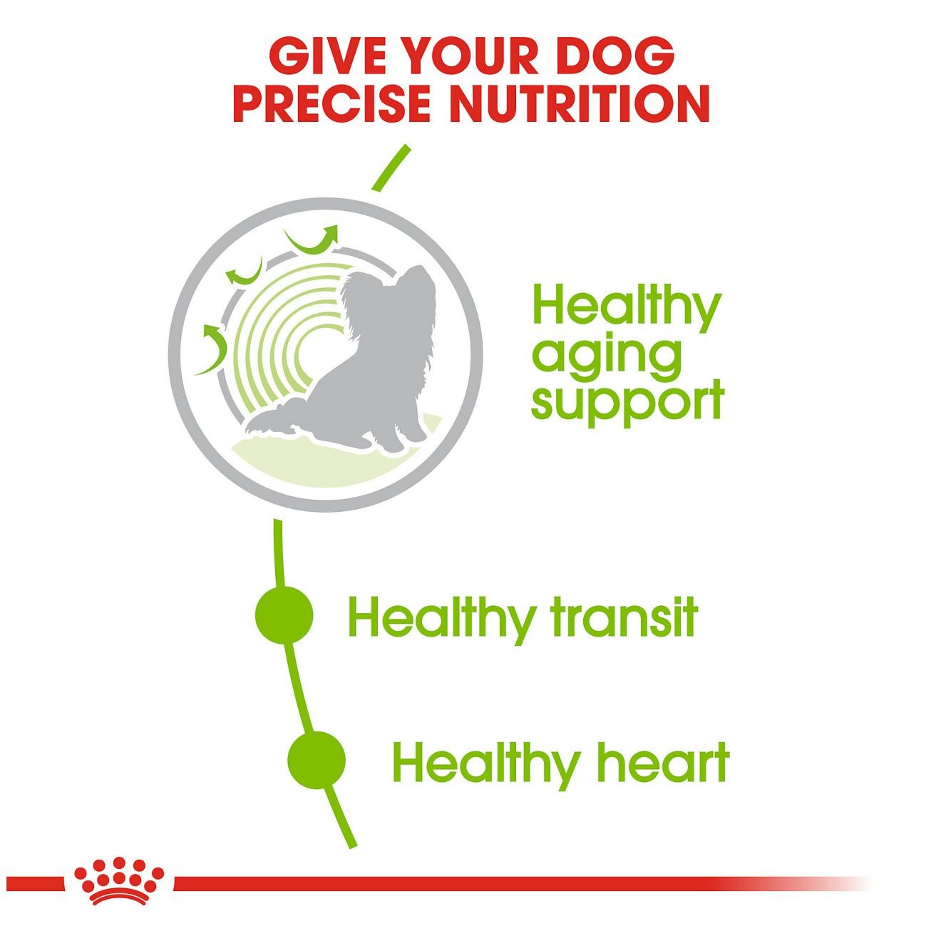 2.5lb Royal Canin X-Small Aging 12+ Dry Dog Food UAE | 6329-ZLAPR