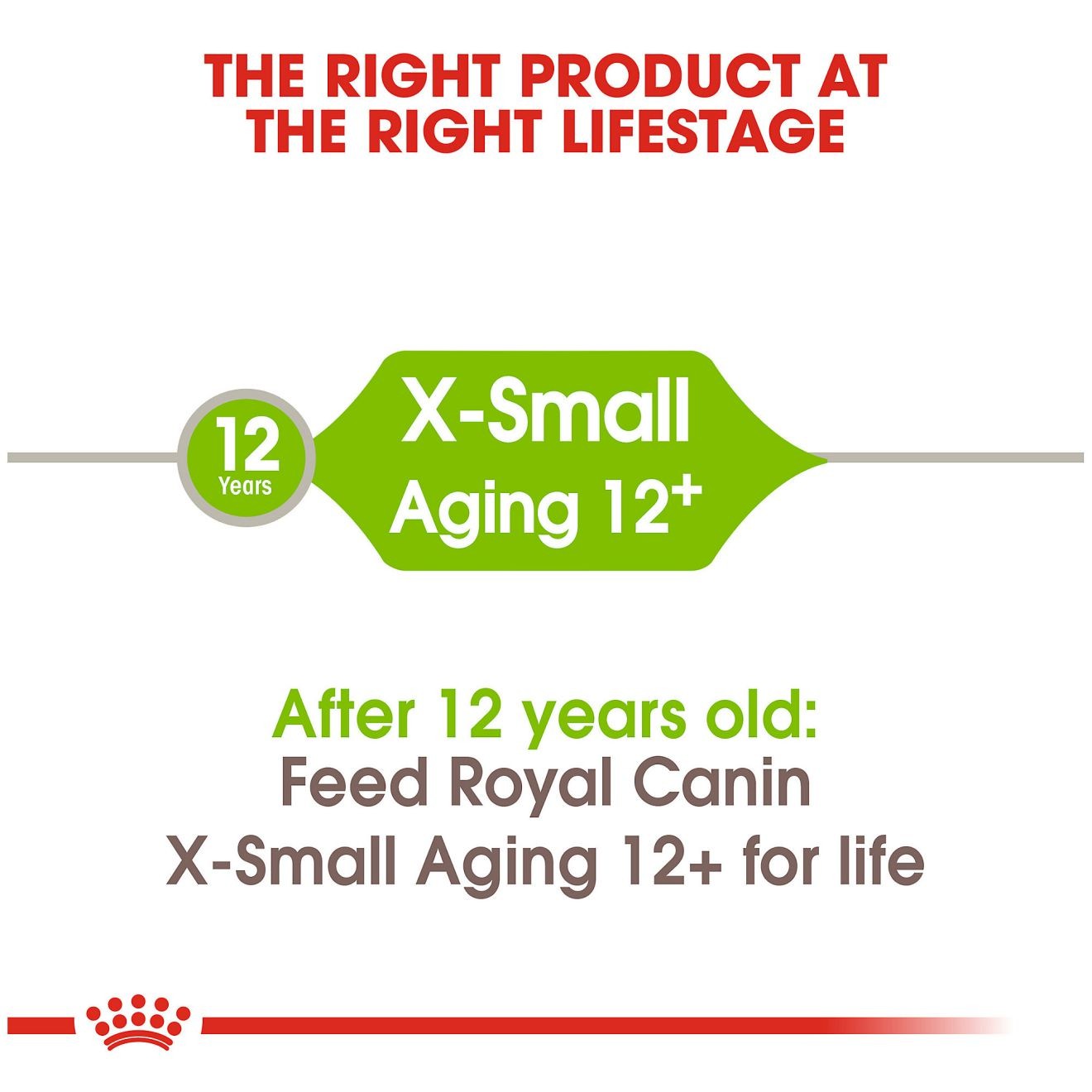 2.5lb Royal Canin X-Small Aging 12+ Dry Dog Food UAE | 6329-ZLAPR