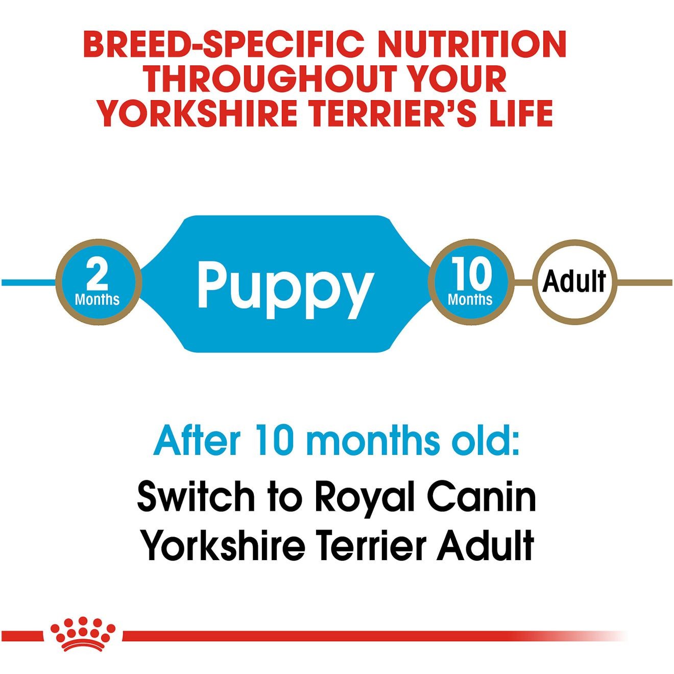 2.5lb Royal Canin Yorkshire Terrier Puppy Dry Dog Food UAE | 7654-NIRGO