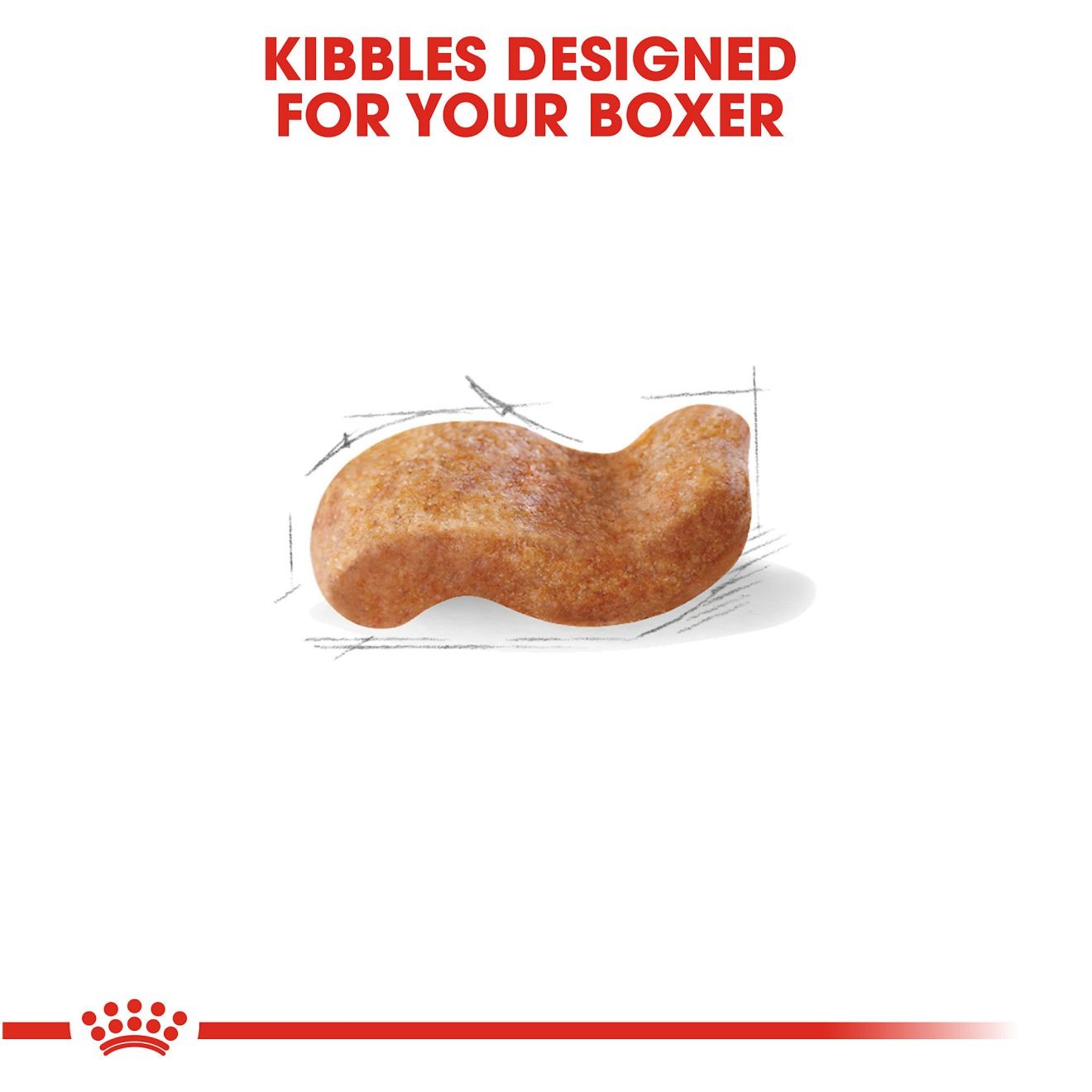 30lb Royal Canin Boxer Adult Dry Dog Food UAE | 1406-PUFBI