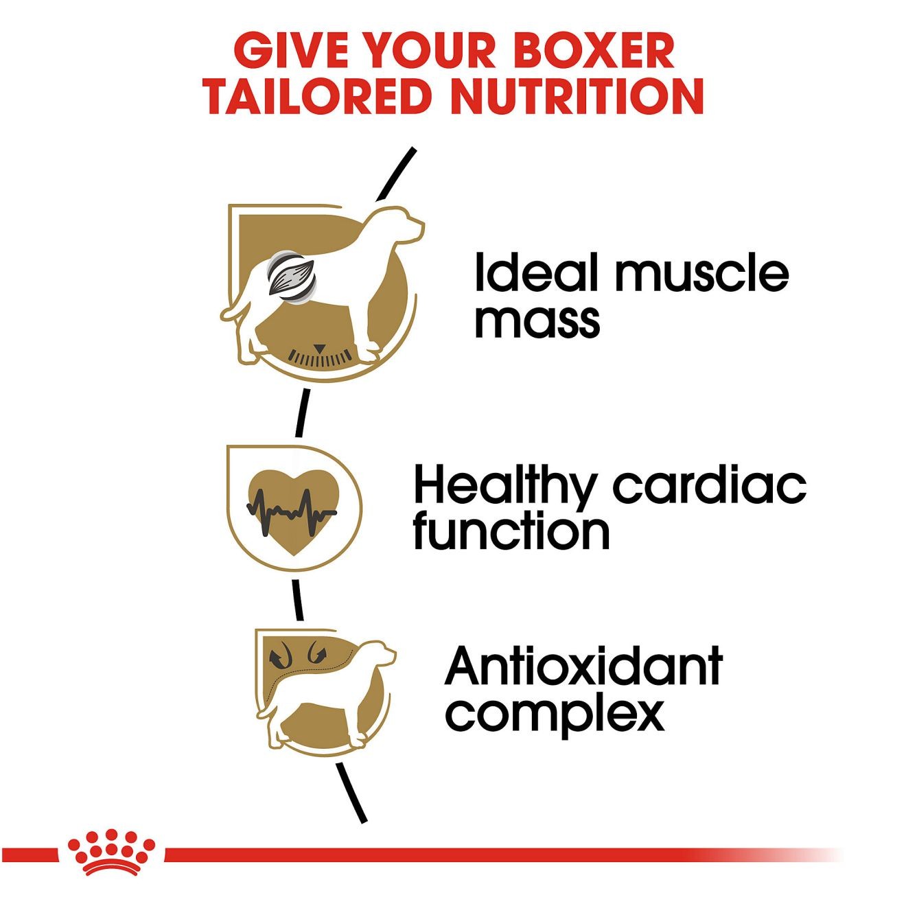 30lb Royal Canin Boxer Adult Dry Dog Food UAE | 1406-PUFBI
