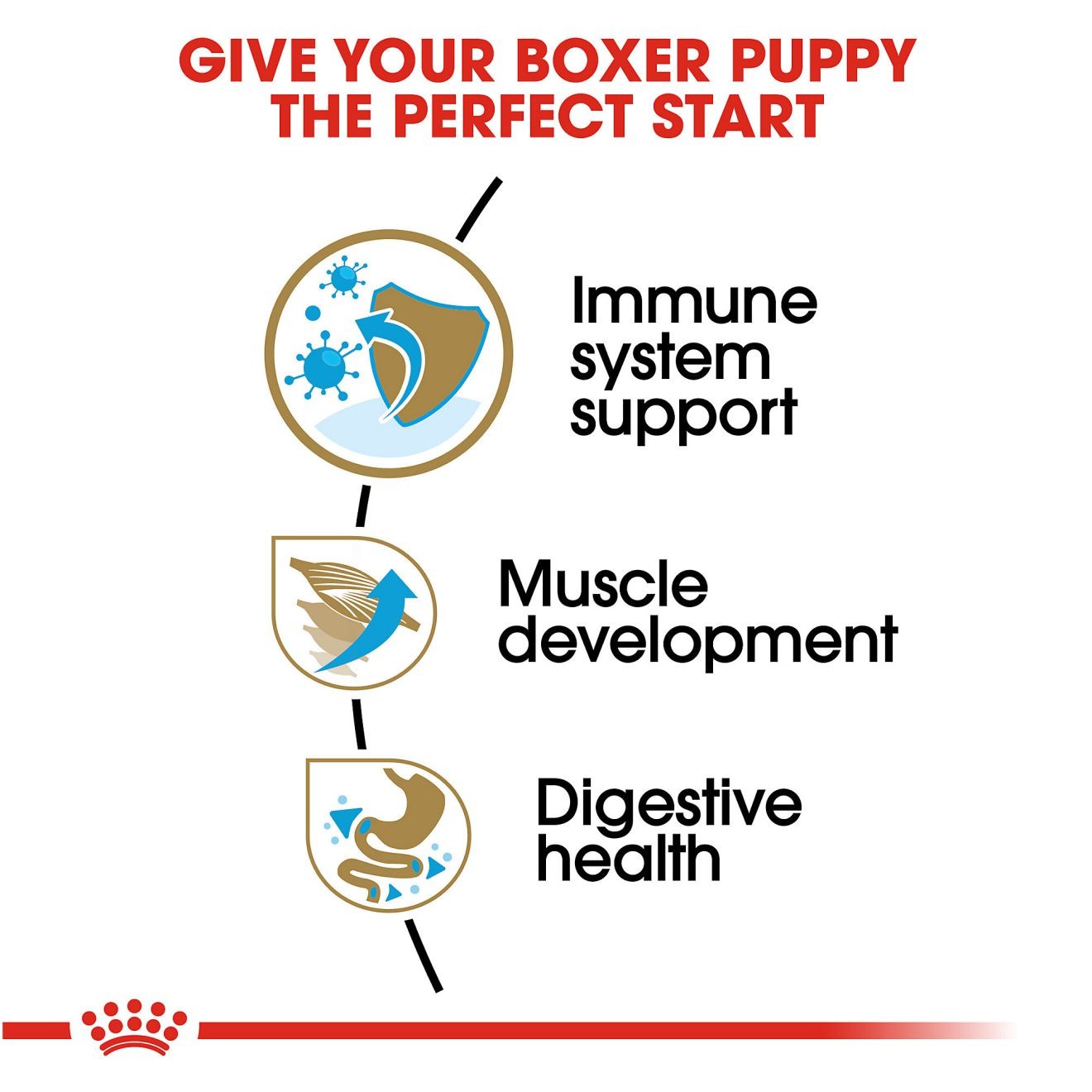 30lb Royal Canin Boxer Puppy Dry Dog Food UAE | 7523-SIHNF