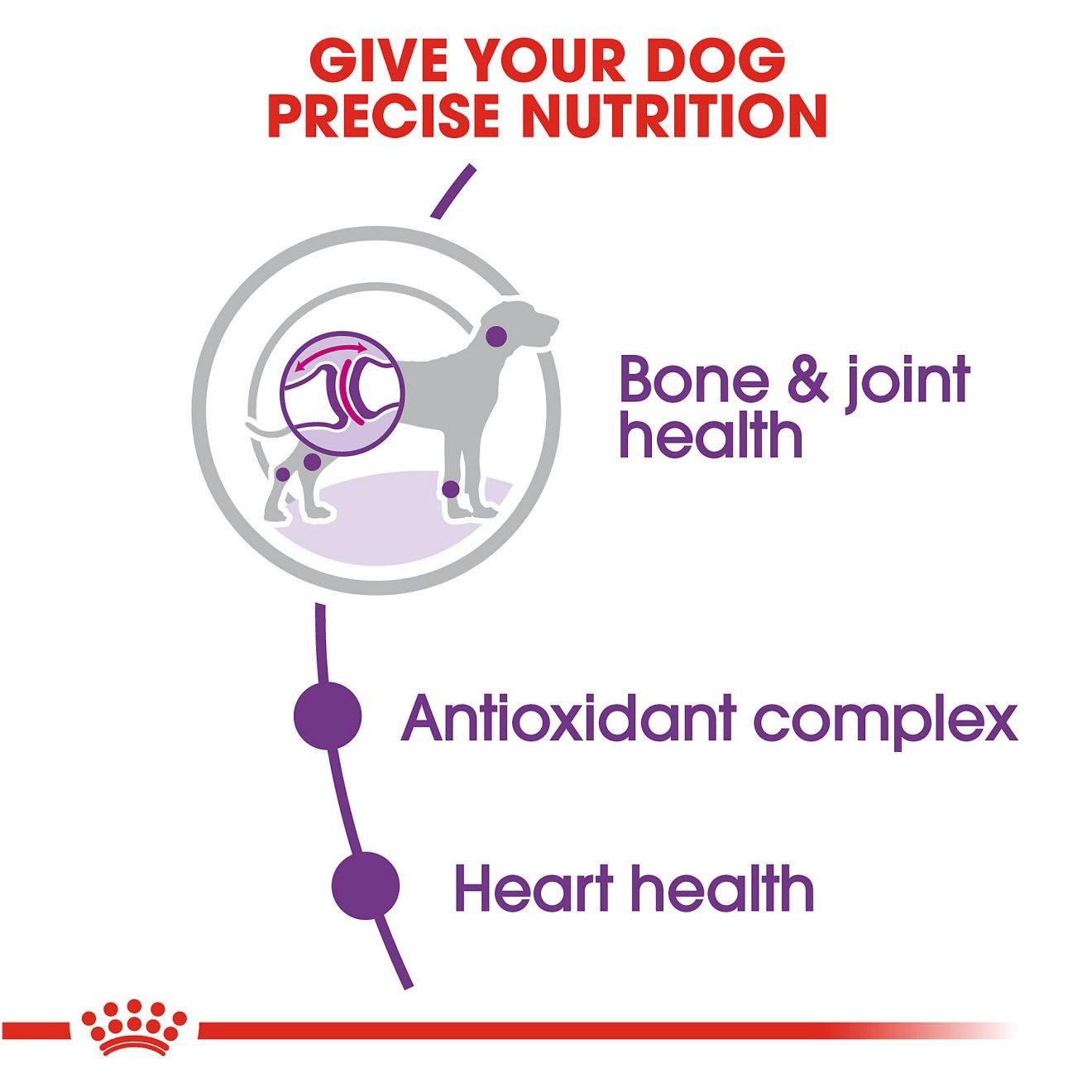 30lb Royal Canin Giant Adult Dry Dog Food UAE | 0785-OZADL