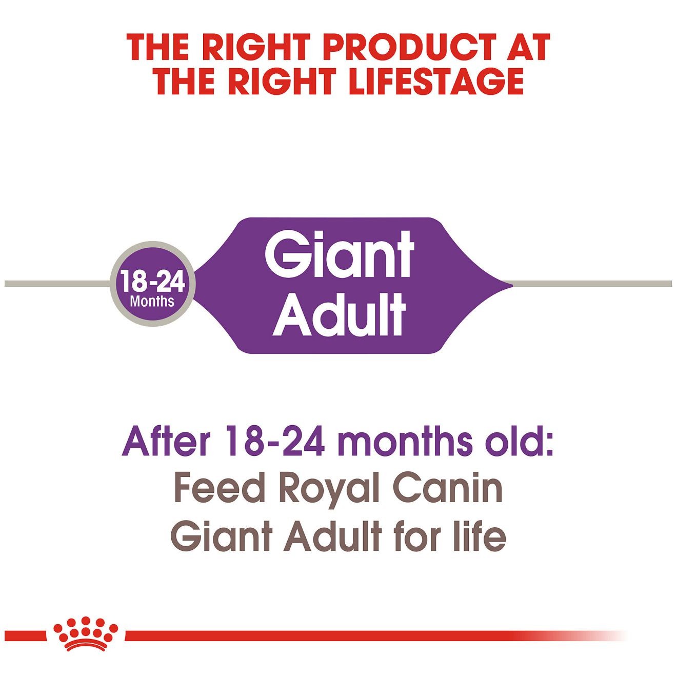 30lb Royal Canin Giant Adult Dry Dog Food UAE | 0785-OZADL