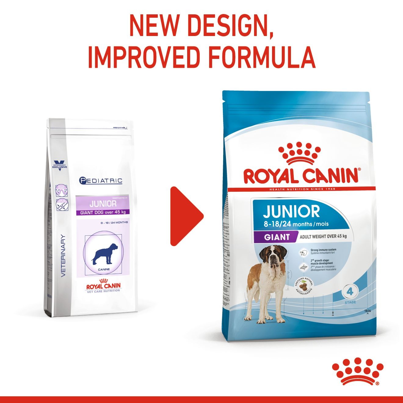 30lb Royal Canin Giant Junior Dry Dog Food UAE | 4375-DBQHN