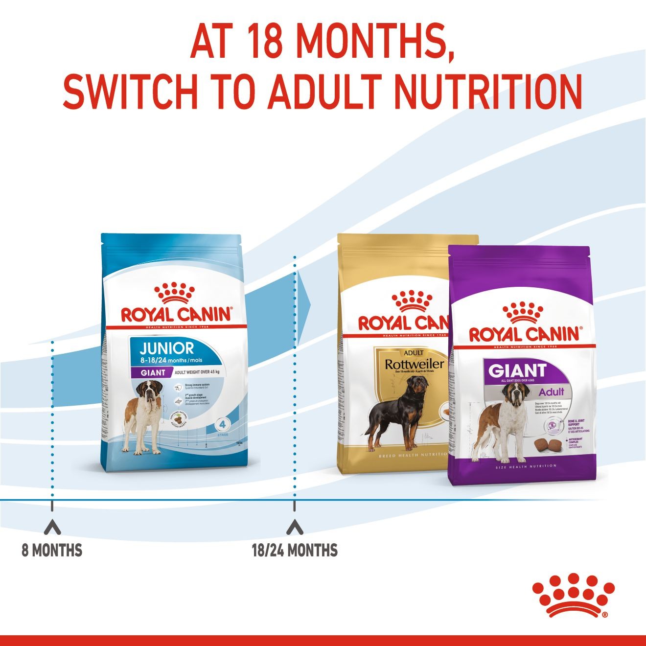 30lb Royal Canin Giant Junior Dry Dog Food UAE | 4375-DBQHN