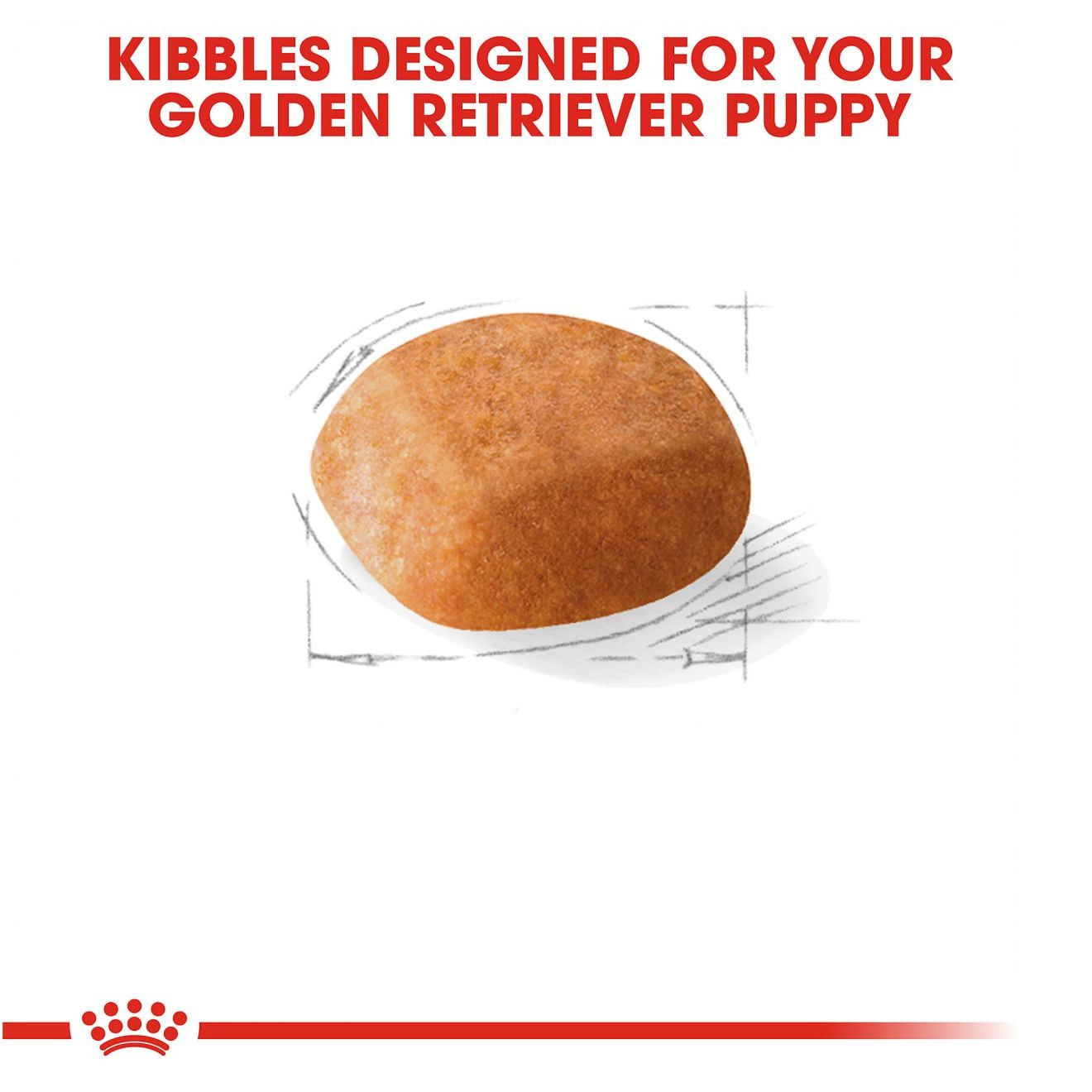 30lb Royal Canin Golden Retriever Puppy Dry Dog Food UAE | 2978-OAMJS