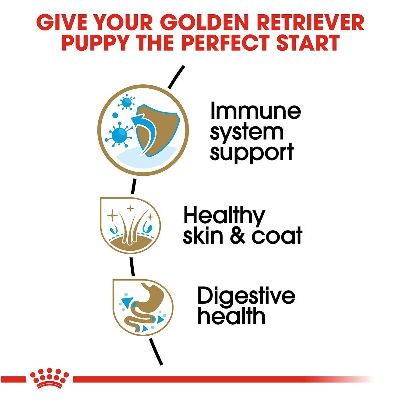 30lb Royal Canin Golden Retriever Puppy Dry Dog Food UAE | 2978-OAMJS