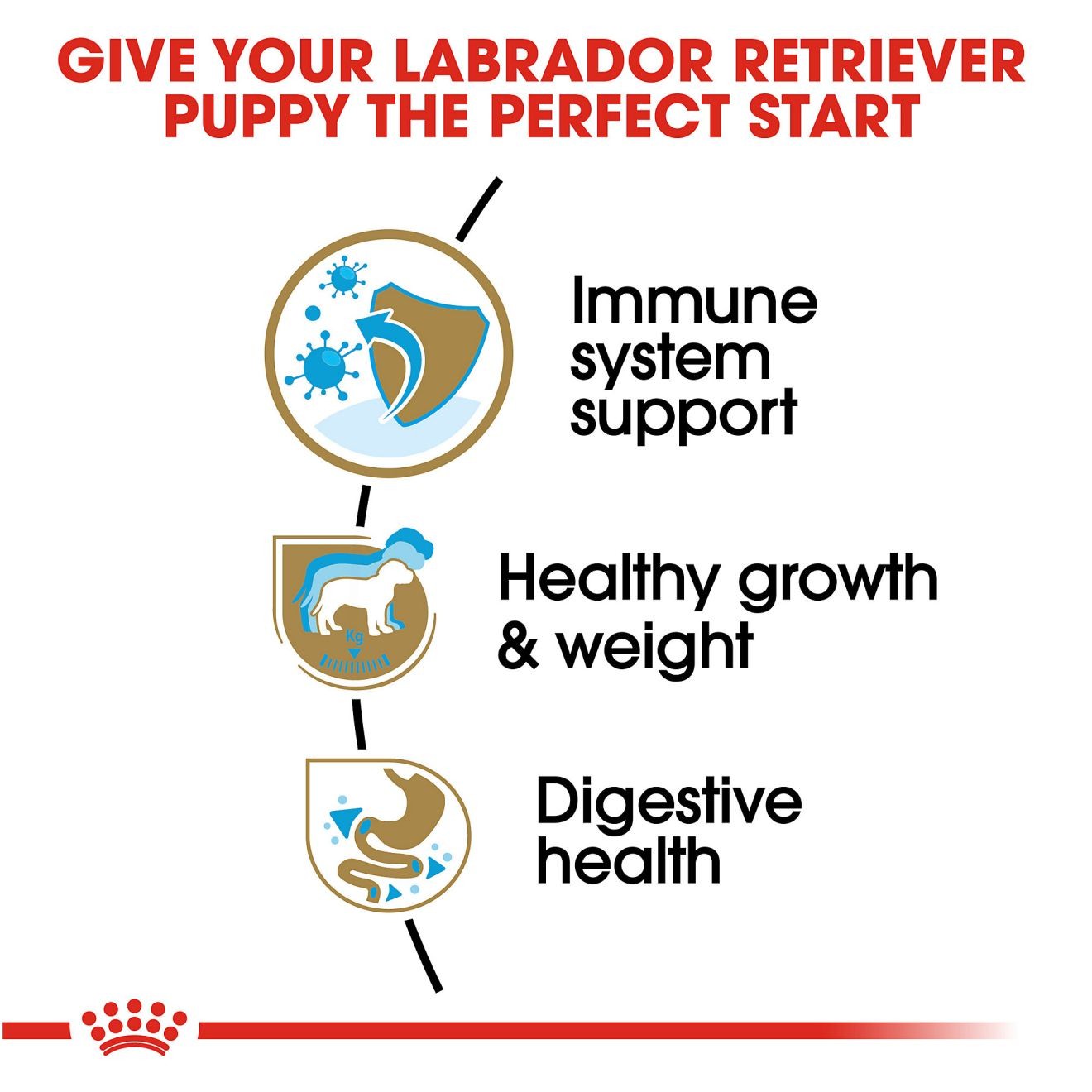 30lb Royal Canin Labrador Retriever Puppy Dry Dog Food UAE | 0952-APKGE