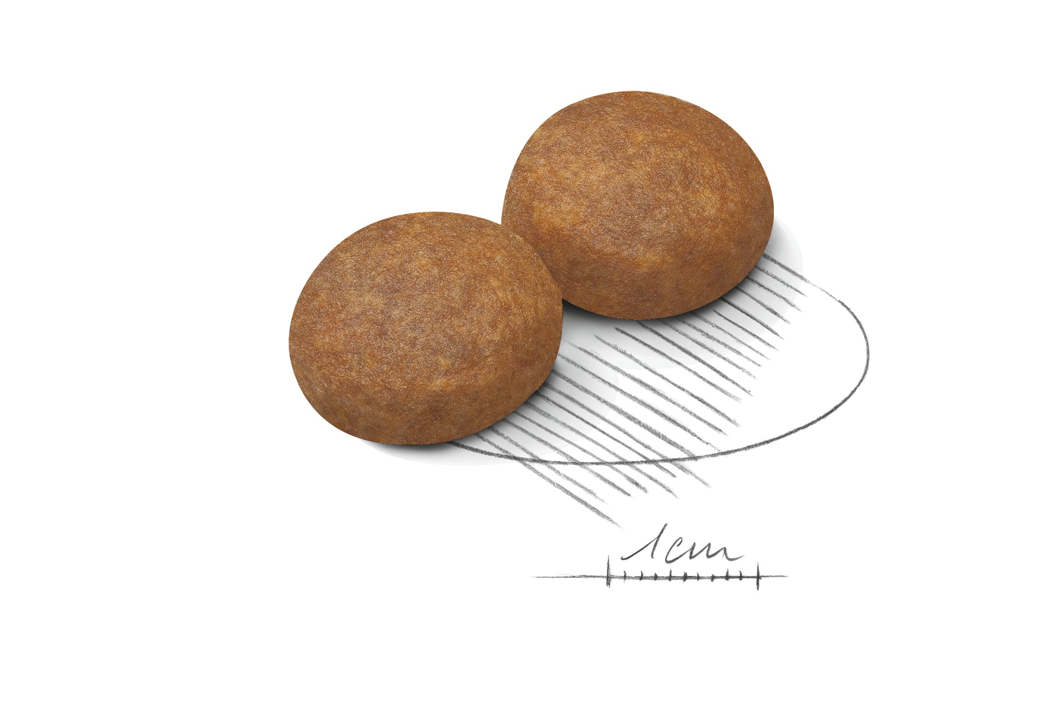 30lb Royal Canin Large Adult 5+ Dry Dog Food UAE | 0582-RHQJG