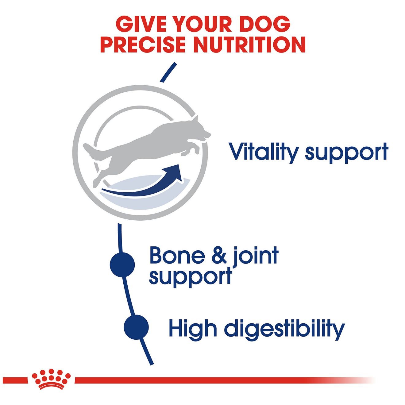 30lb Royal Canin Large Adult 5+ Dry Dog Food UAE | 0582-RHQJG