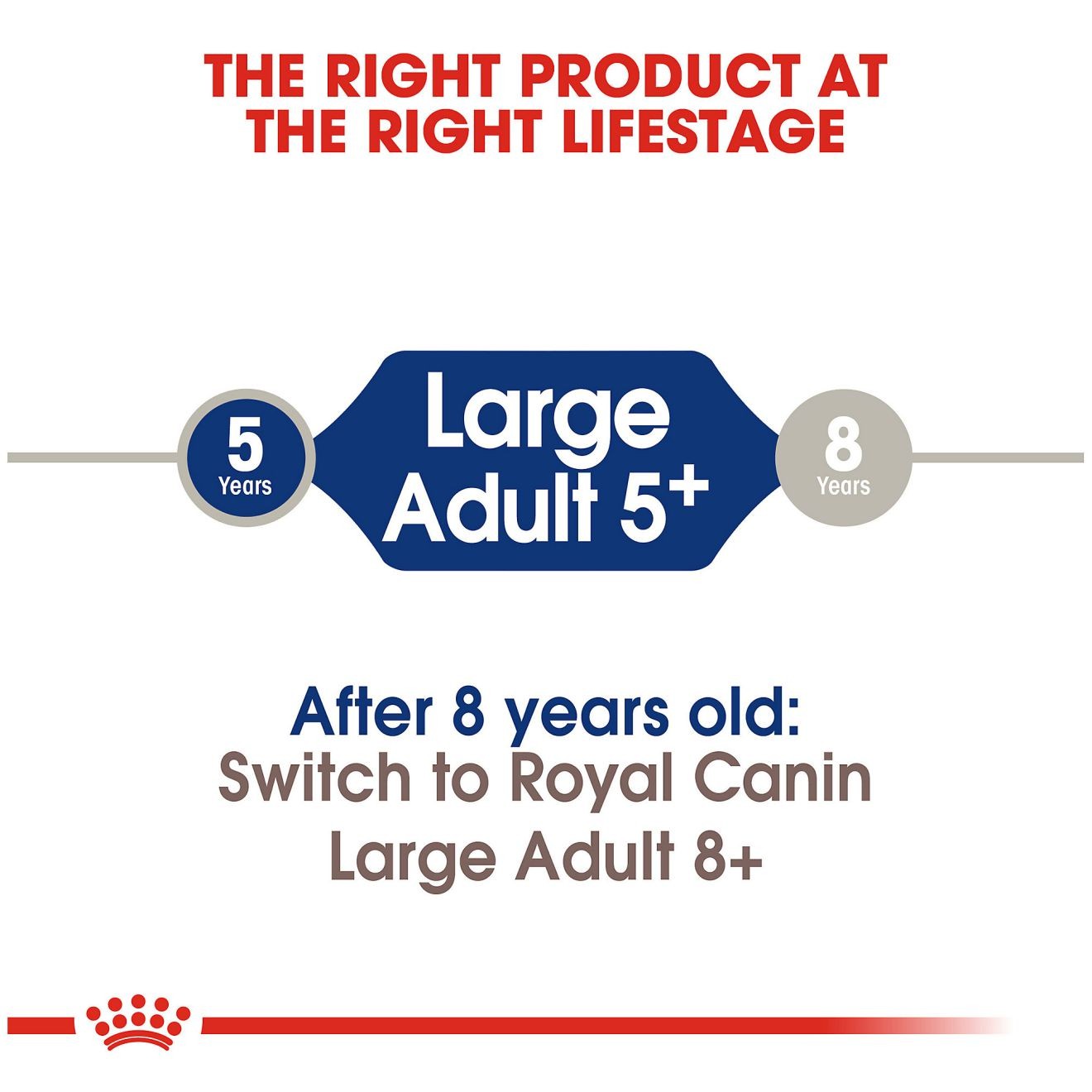 30lb Royal Canin Large Adult 5+ Dry Dog Food UAE | 0582-RHQJG
