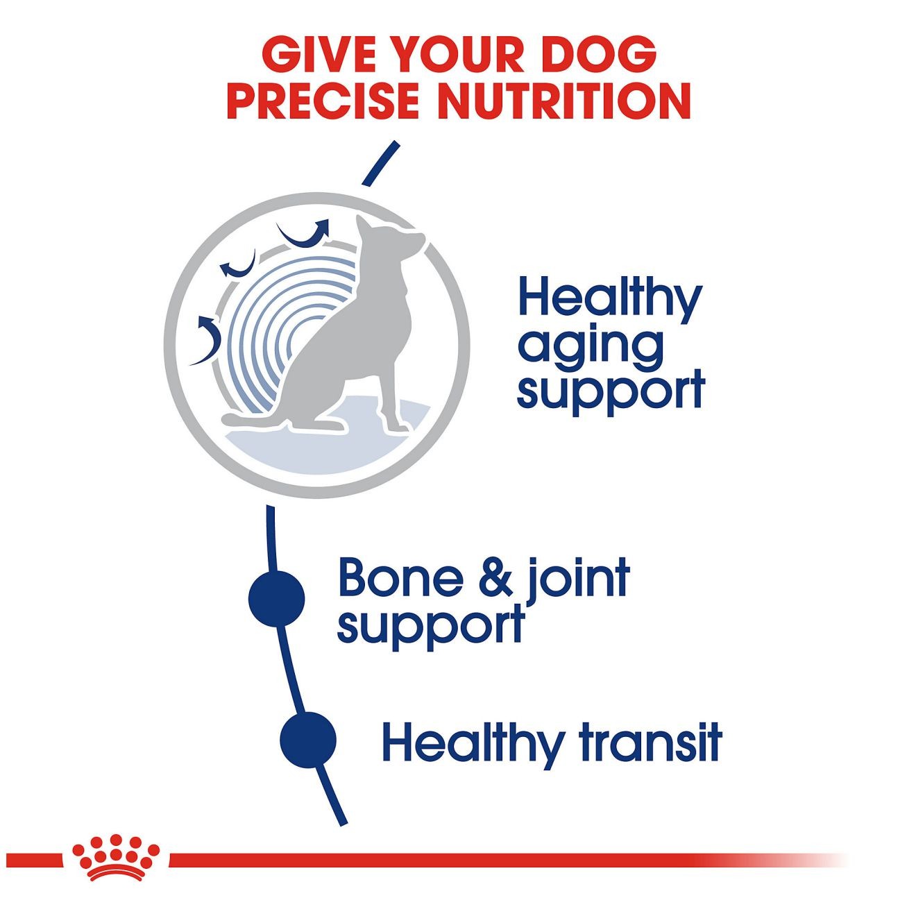 30lb Royal Canin Large Aging 8+ Dry Dog Food UAE | 2784-QVMHB