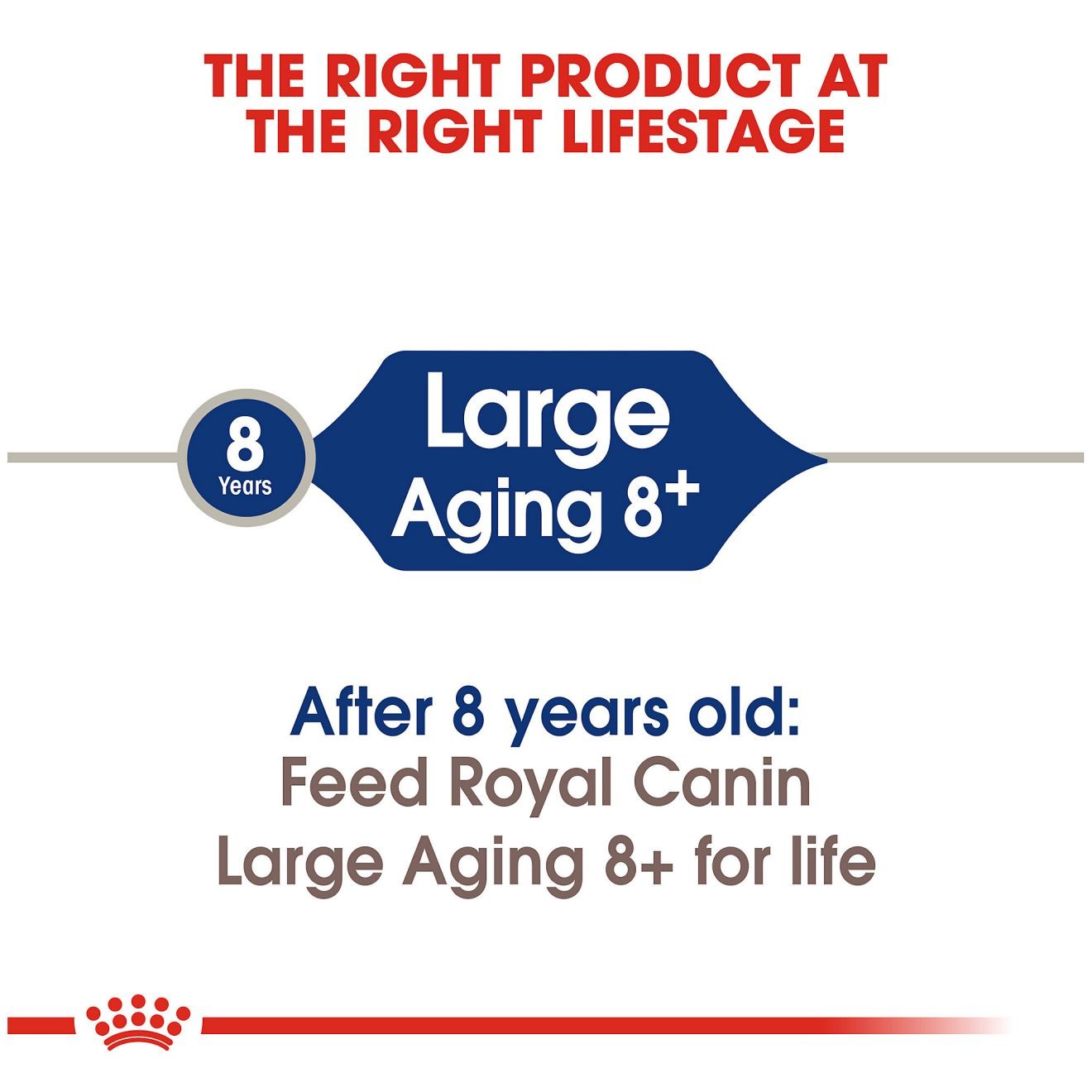 30lb Royal Canin Large Aging 8+ Dry Dog Food UAE | 2784-QVMHB