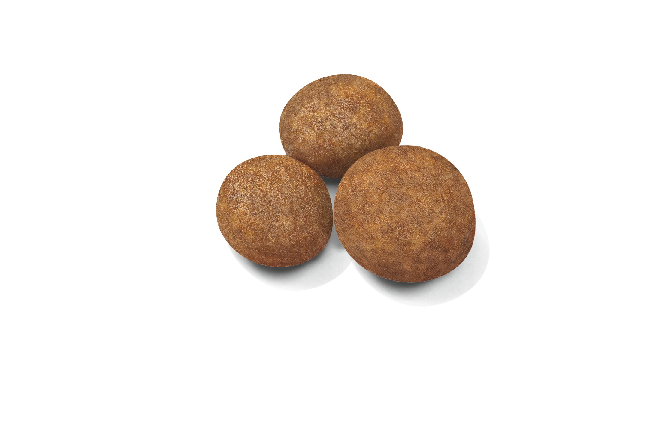 30lb Royal Canin Large Puppy Dry Dog Food UAE | 4521-HRTFV