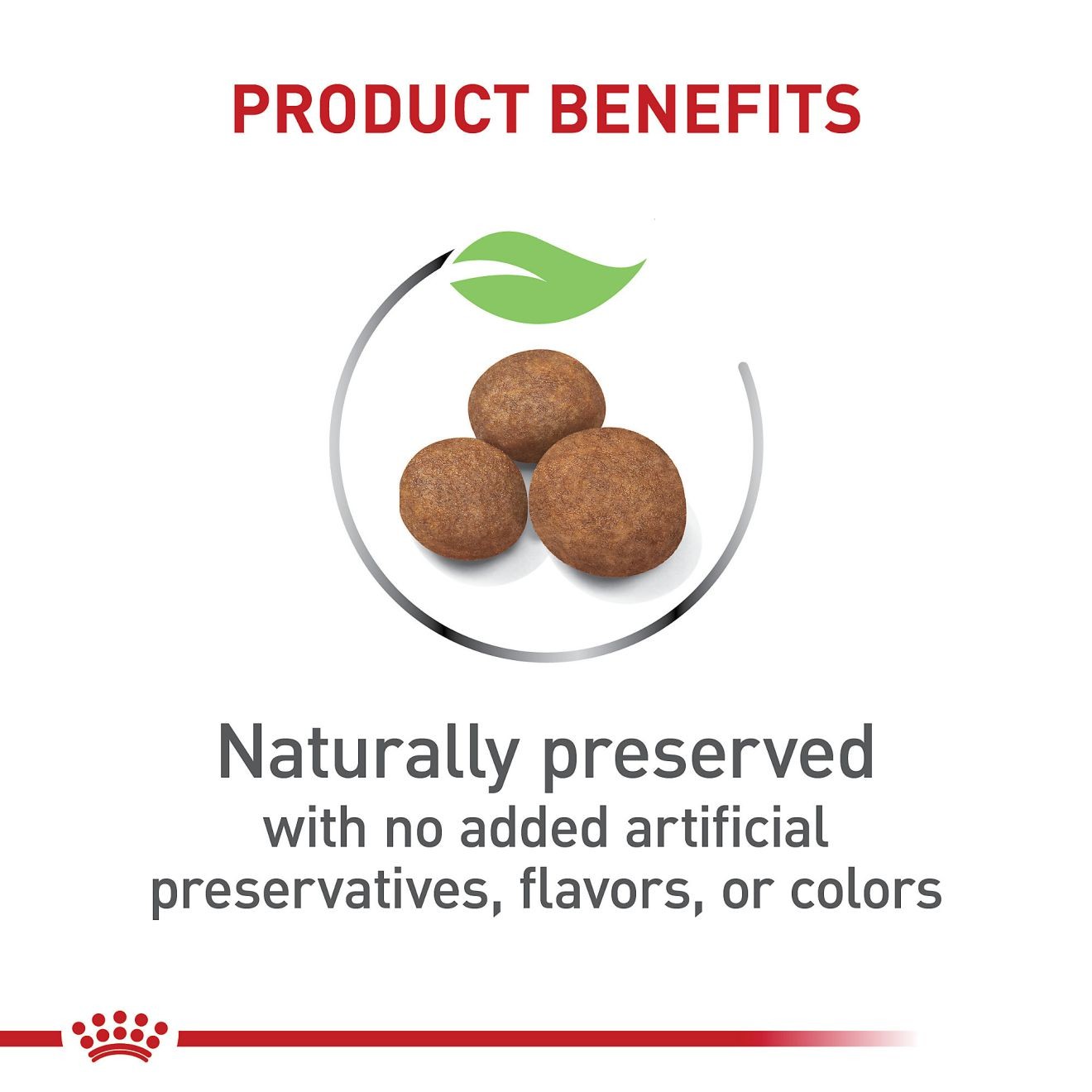 30lb Royal Canin Large Puppy Dry Dog Food UAE | 4521-HRTFV