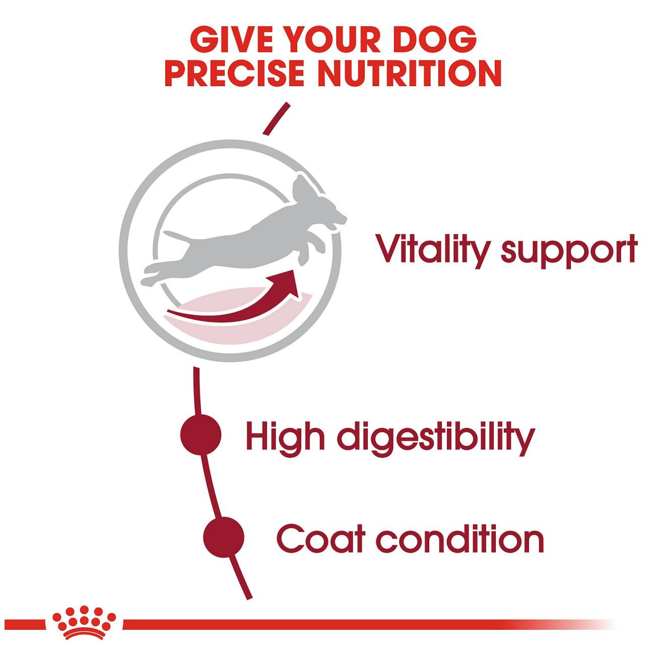 30lb Royal Canin Medium Adult 7+ Dry Dog Food UAE | 4619-PUAEW