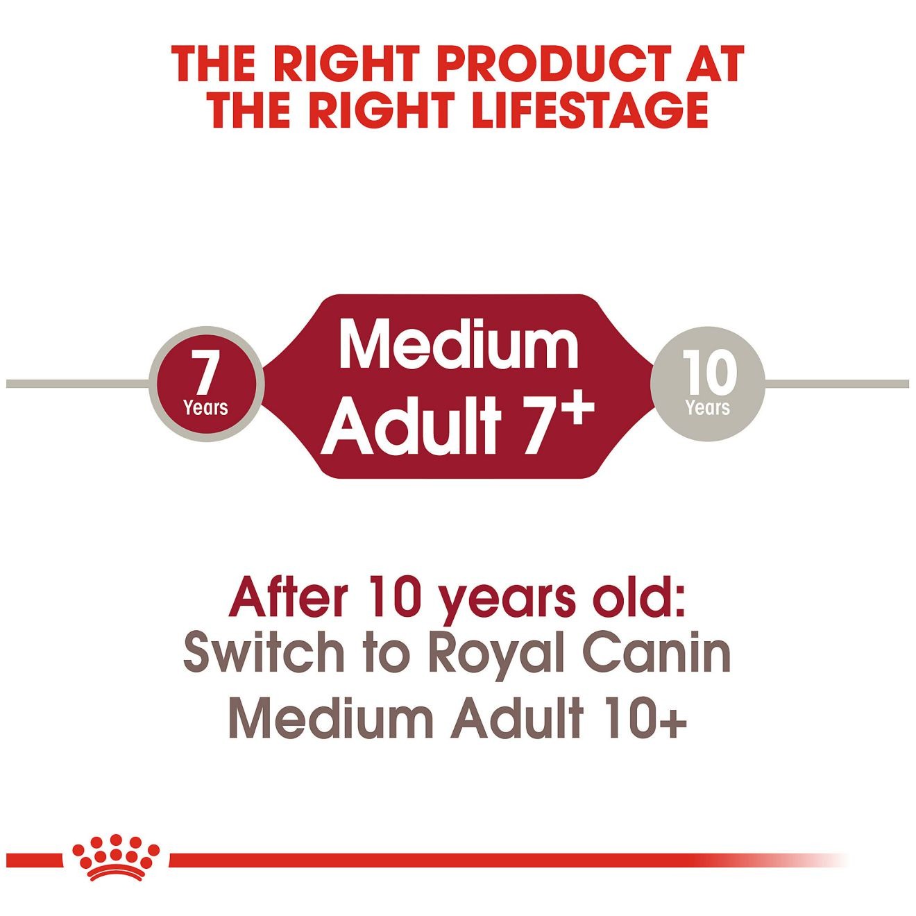 30lb Royal Canin Medium Adult 7+ Dry Dog Food UAE | 4619-PUAEW