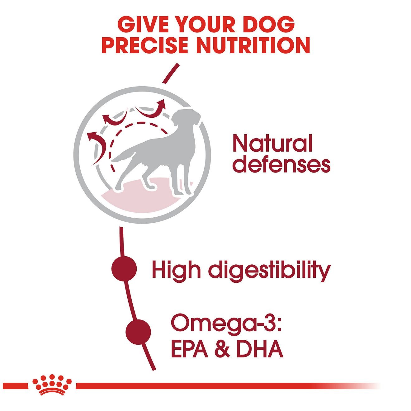 30lb Royal Canin Medium Adult Dry Dog Food UAE | 7851-HQMXB