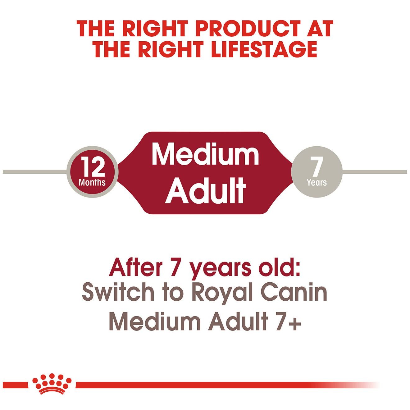 30lb Royal Canin Medium Adult Dry Dog Food UAE | 7851-HQMXB