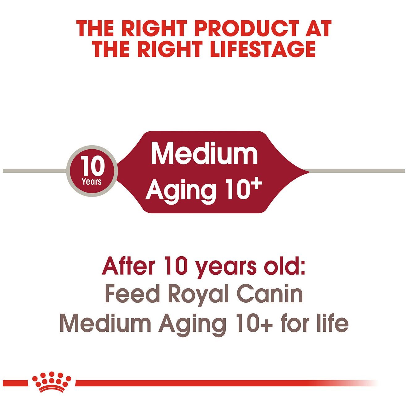 30lb Royal Canin Medium Aging 10+ Dry Dog Food UAE | 5249-OGLSD